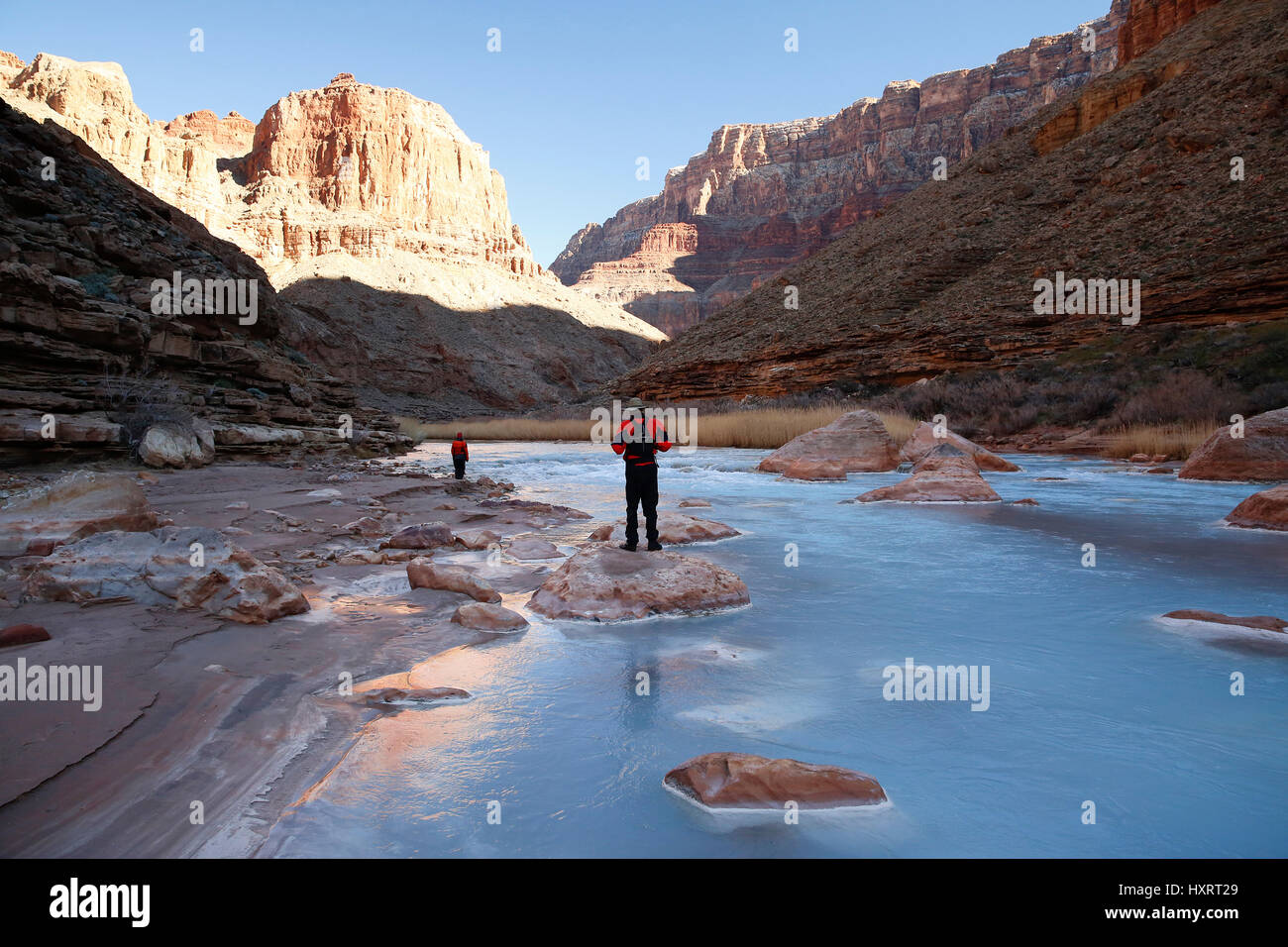 Les chevrons à l'embouchure de la Little Colorado River dans le Parc National du Grand Canyon, Arizona, United States. Banque D'Images