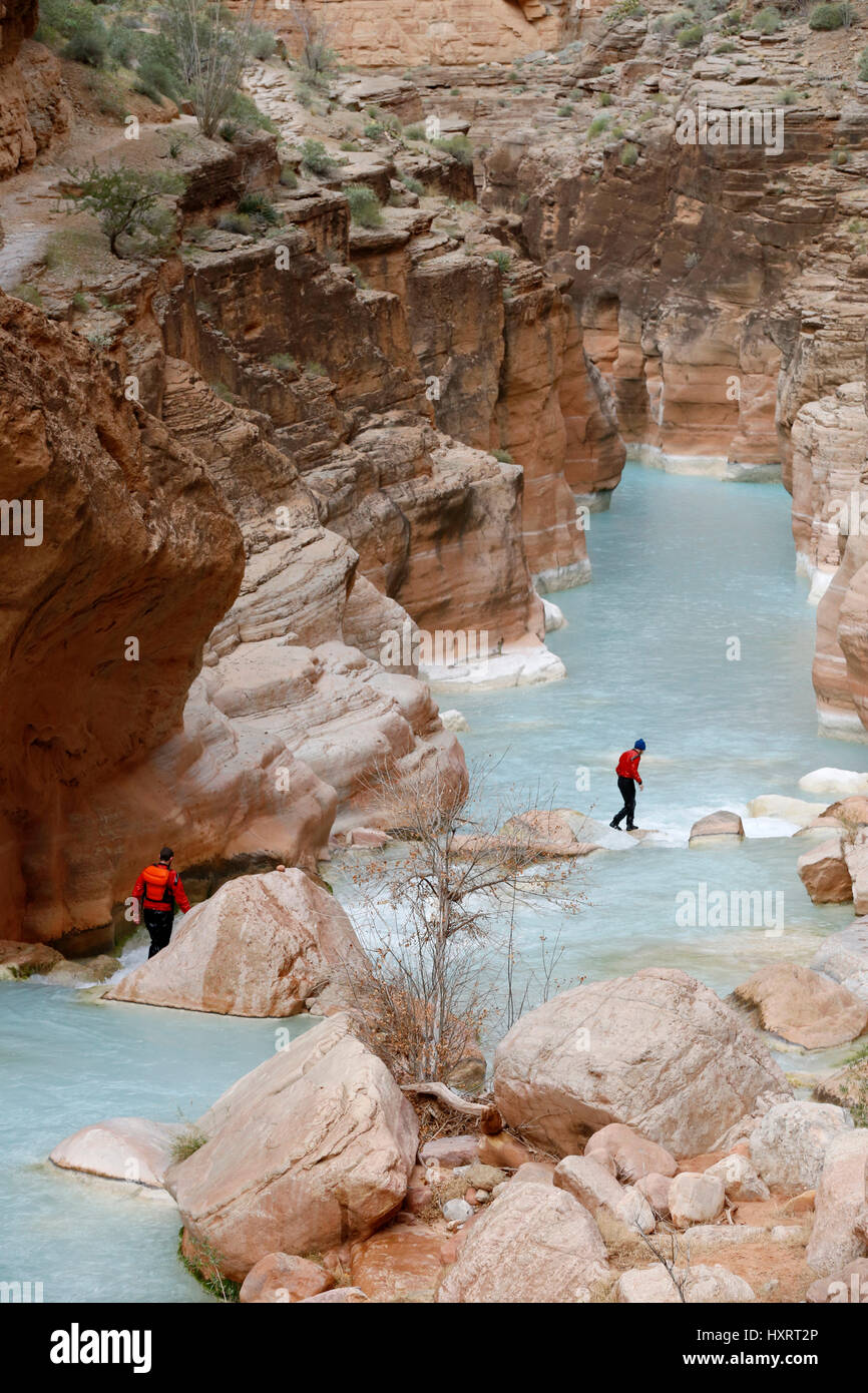 Les randonneurs de Havasu Creek, le Parc National du Grand Canyon, Arizona, United States. Banque D'Images