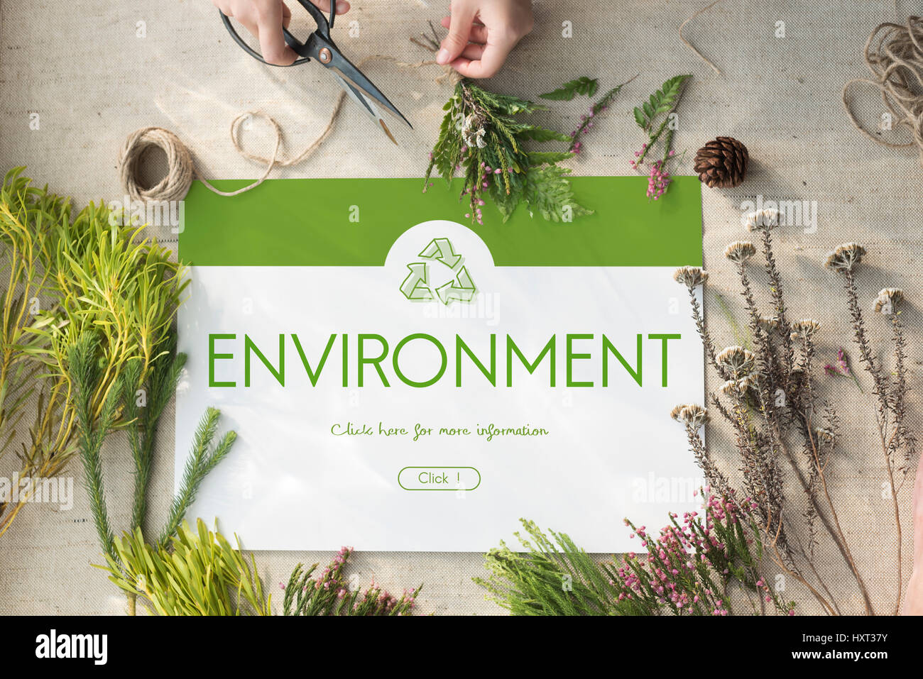 L'écologie de la nature de la conservation de l'environnement Recyclage Banque D'Images