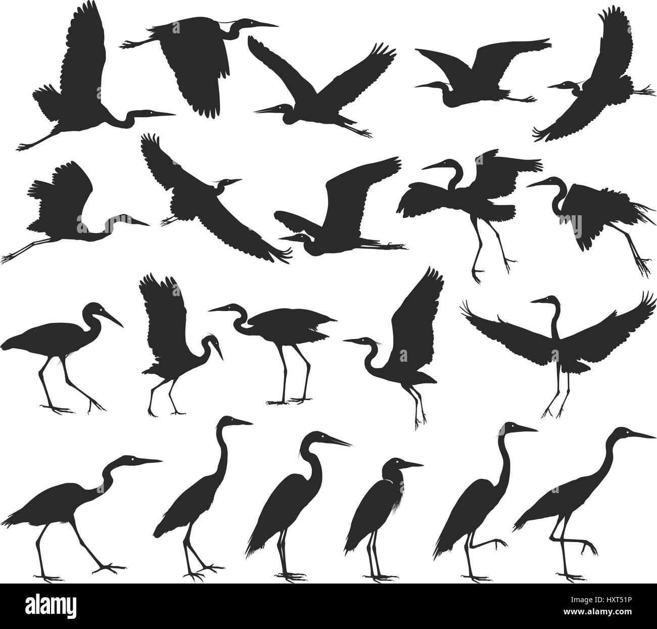 Oiseaux - hérons Illustration de Vecteur