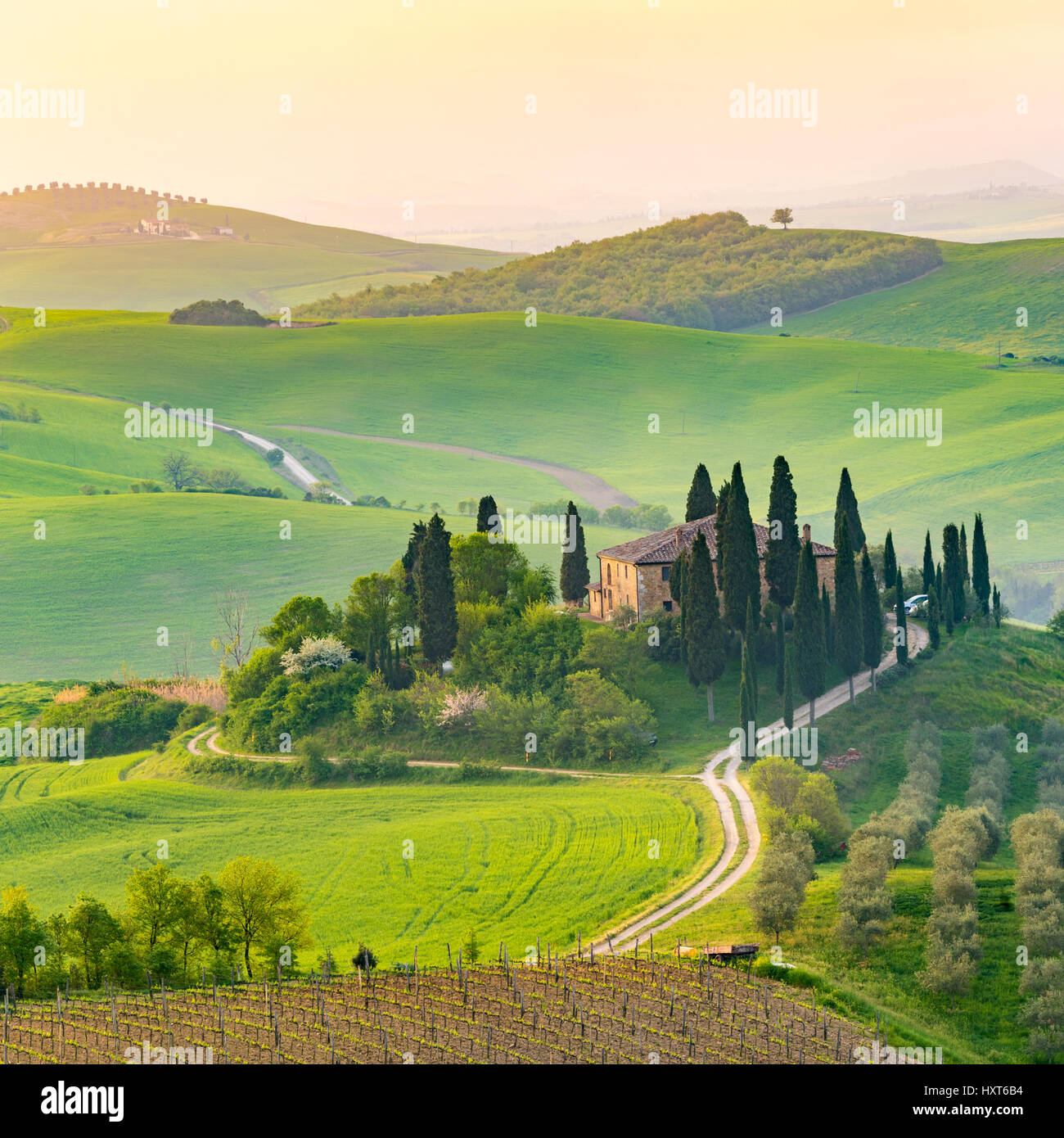 Val d'Orcia, Toscane, Italie. Une ferme isolée de cyprès et d'oliviers, de collines. Banque D'Images