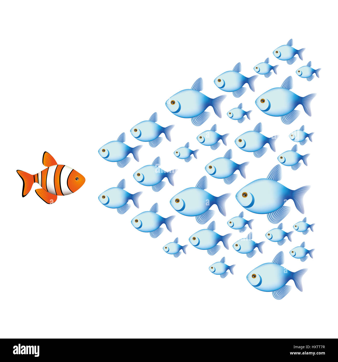 Fond de couleur avec du poisson à rayures et banc de poissons Banque D'Images