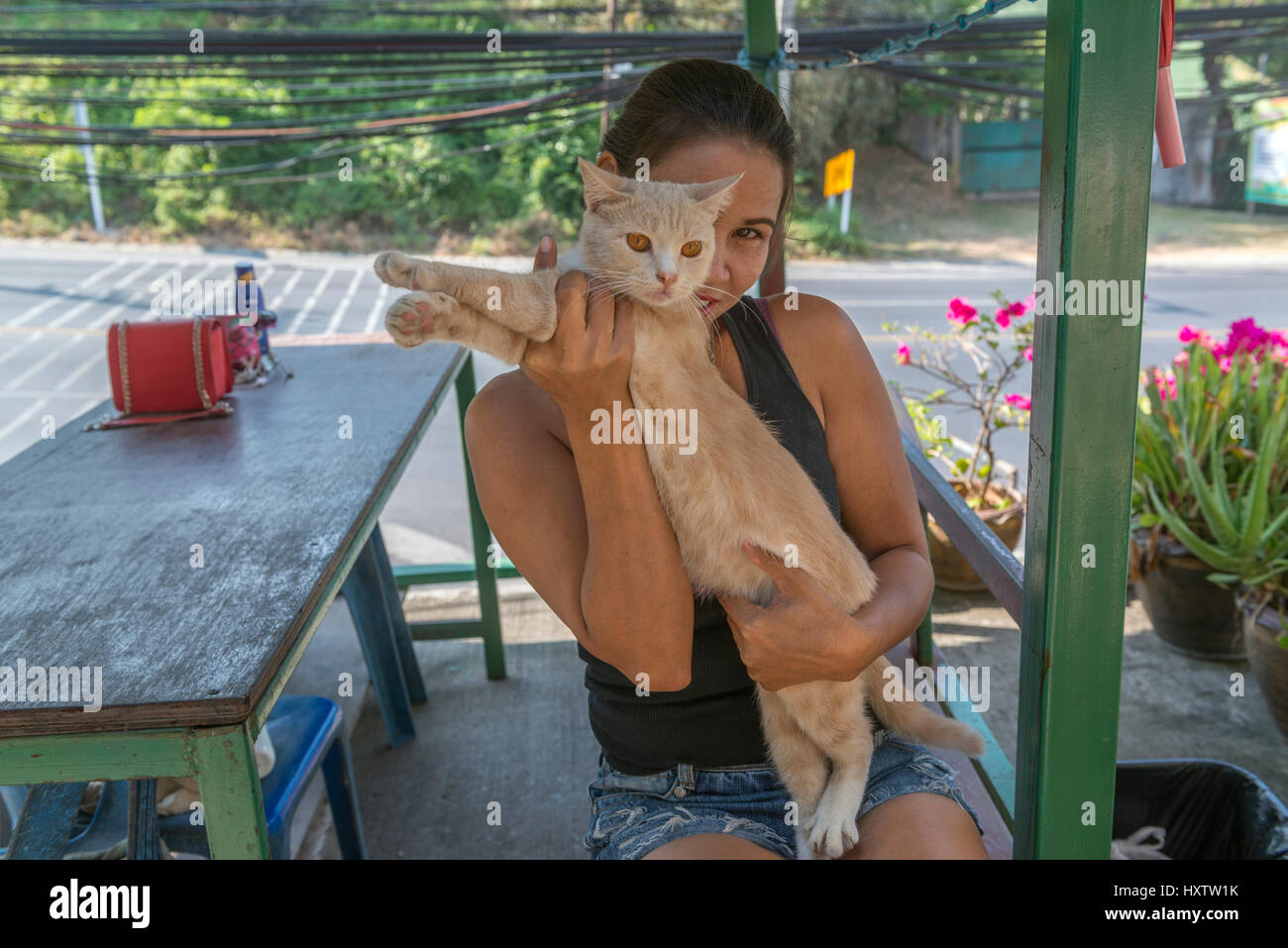 Une dame thaïlandaise est titulaire d'un chat à Phuket, Thaïlande. 09-Mar-2017 Banque D'Images
