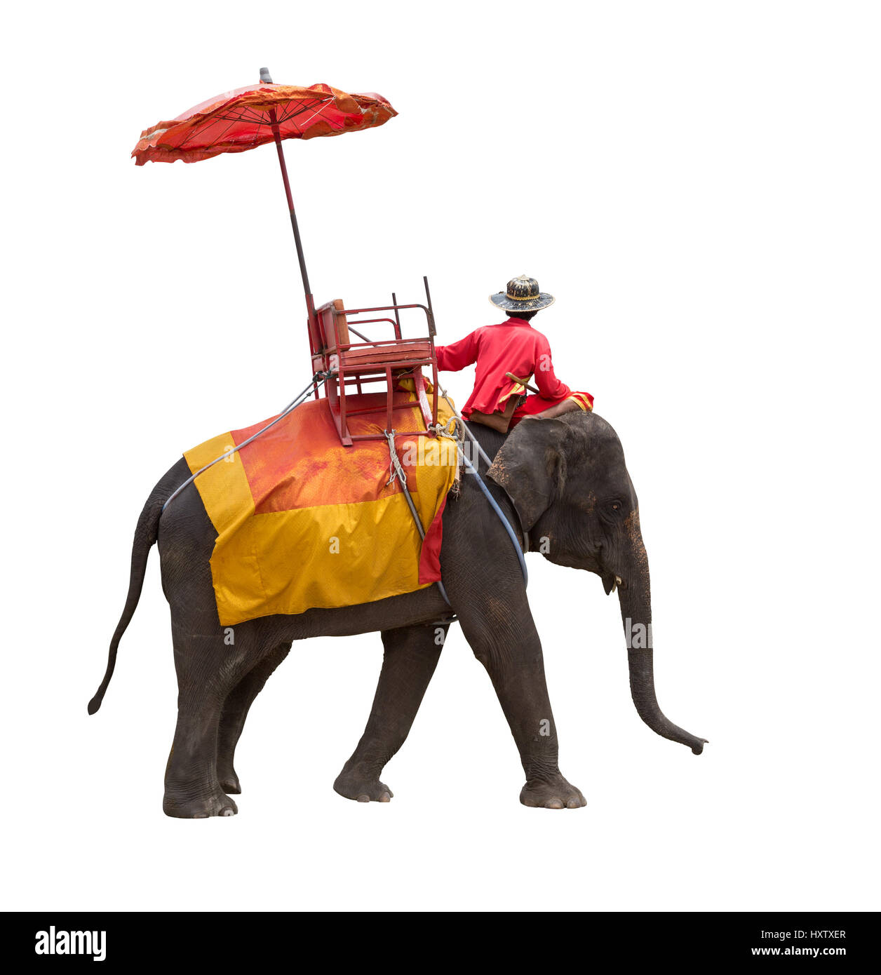 Pour les touristes l'éléphant ride tour de l'ancienne ville d'Ayutthaya en Thaïlande. isolé sur fond blanc avec clipping path Banque D'Images