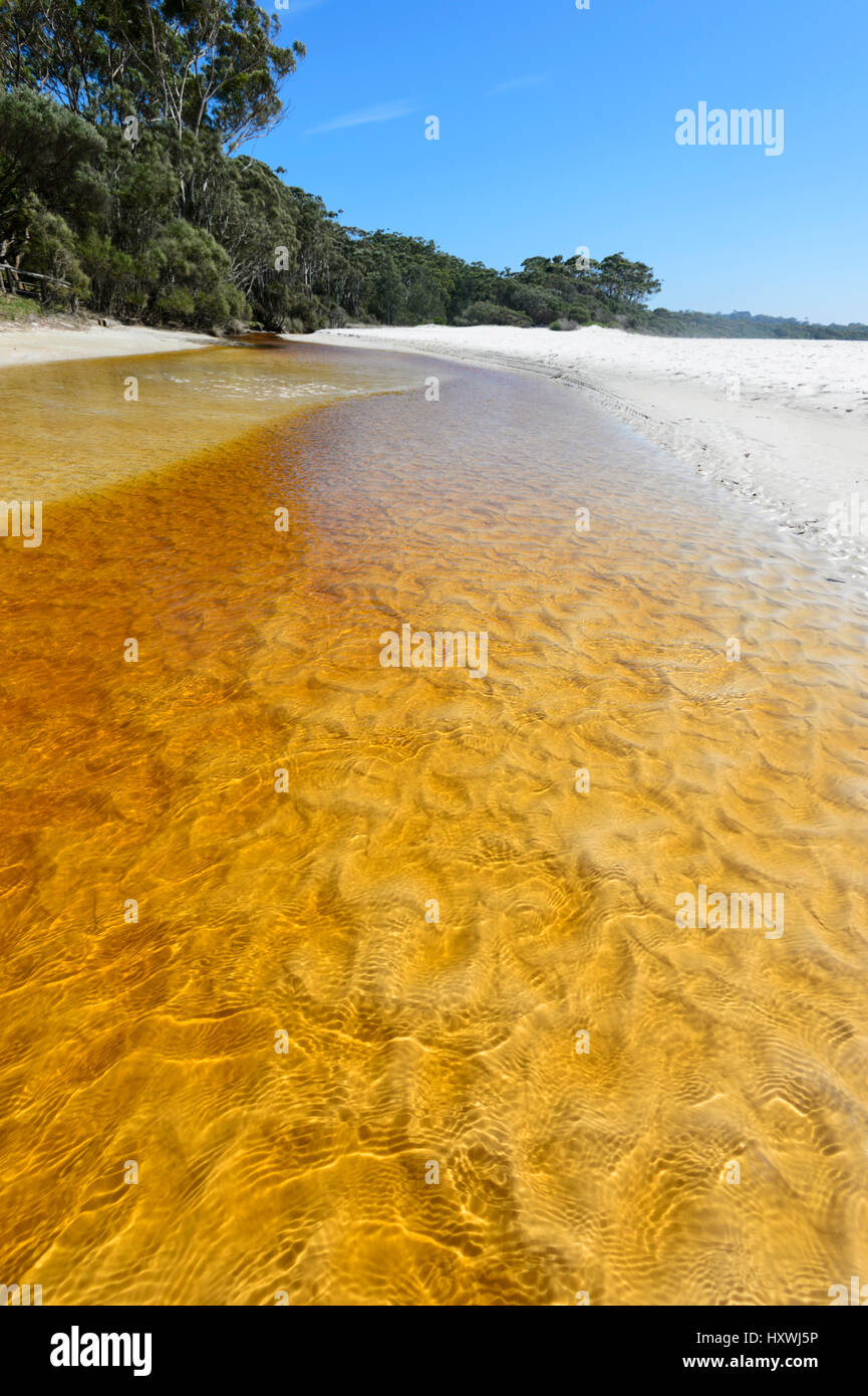 Tachée de tanin Creek qui se jette dans la mer à pastille verte Plage, Parc National Booderee, Jervis Bay, New South Wales, NSW, Australie Banque D'Images