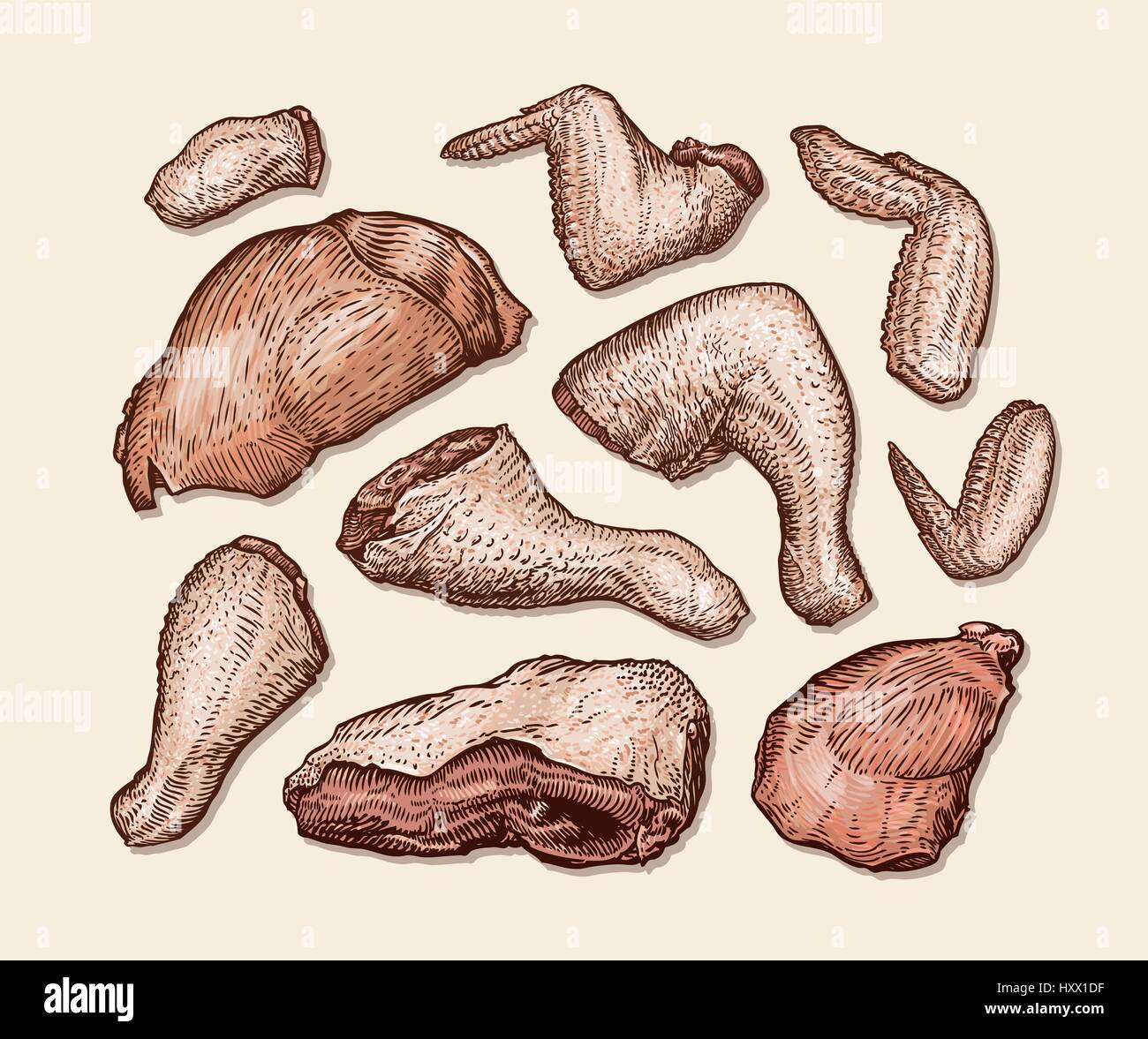 Morceaux de poulet haché. Boucherie, viande fraîche vector illustration Illustration de Vecteur