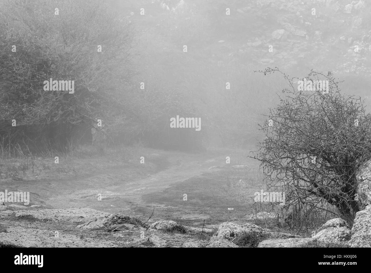 Tourné en noir et blanc du sentier dans la vallée de montagne dans le brouillard. Torcal de Antequera, Malaga Banque D'Images