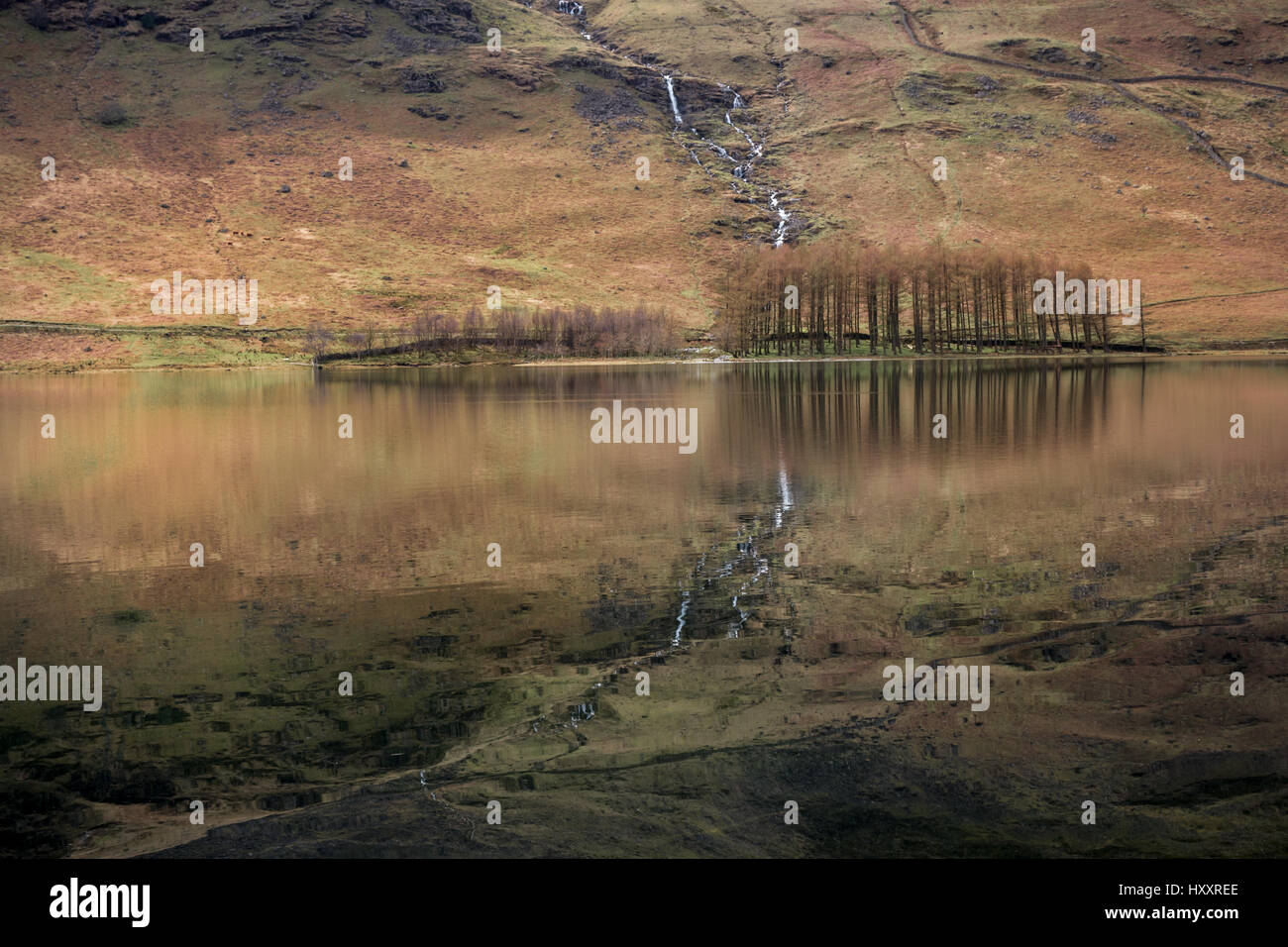 Buttermere lake, Cumbria, Royaume-Uni par des réflexions de montagnes et d'arbres Banque D'Images