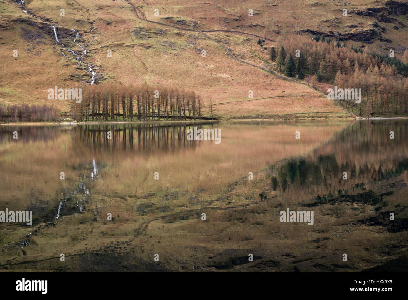Buttermere lake, Cumbria, Royaume-Uni par des réflexions de montagnes et d'arbres Banque D'Images
