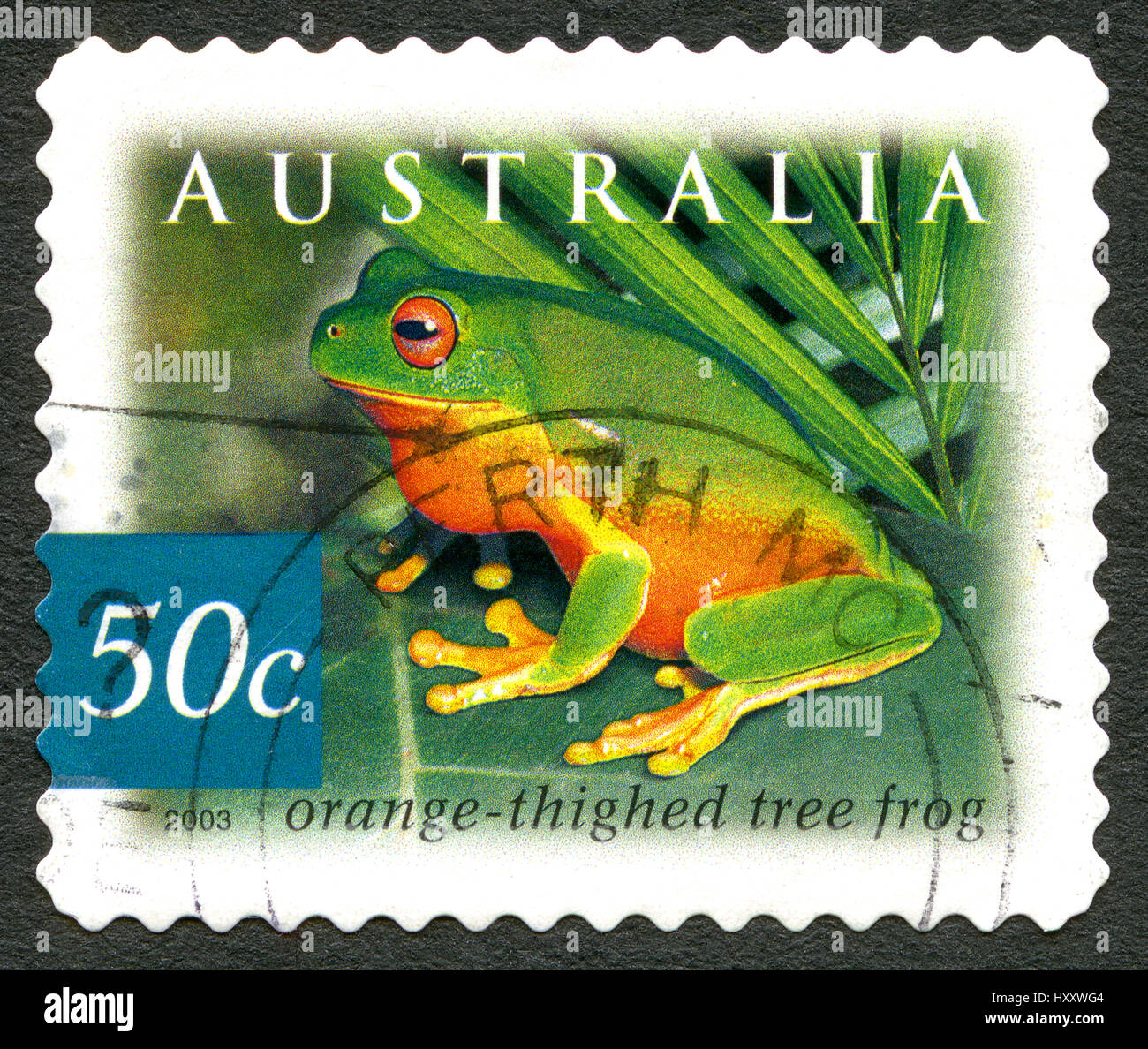 L'AUSTRALIE - circa 2003 : un timbre-poste utilisé à partir de l'Australie, représentant une image d'une Orange Thighed Rainette, circa 2003. Banque D'Images