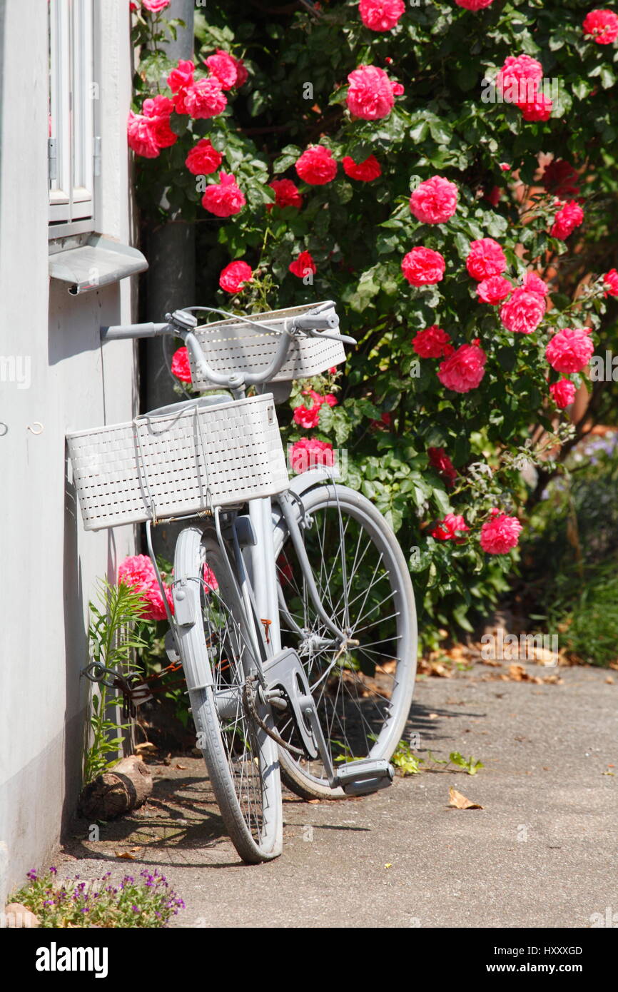 Parking vélo avec roses dans la vieille Towm, Luebeck, Allemagne, Europe Banque D'Images