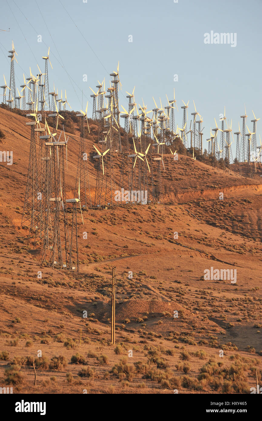 Éoliennes au coucher du soleil, en Californie Banque D'Images