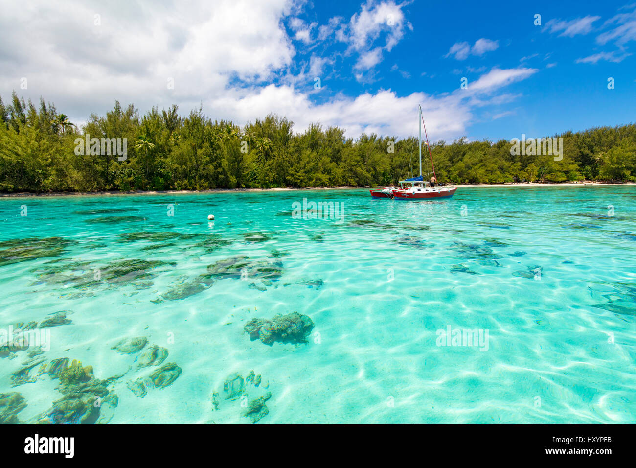 Motu Fareone, Tiahura, Moorea, Polynésie Française Banque D'Images