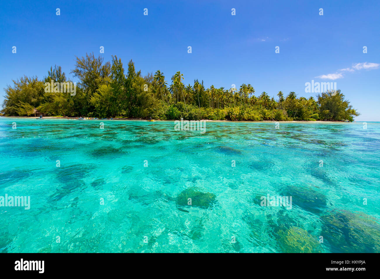 Motu Tiahura, Moorea, Polynésie Française Banque D'Images