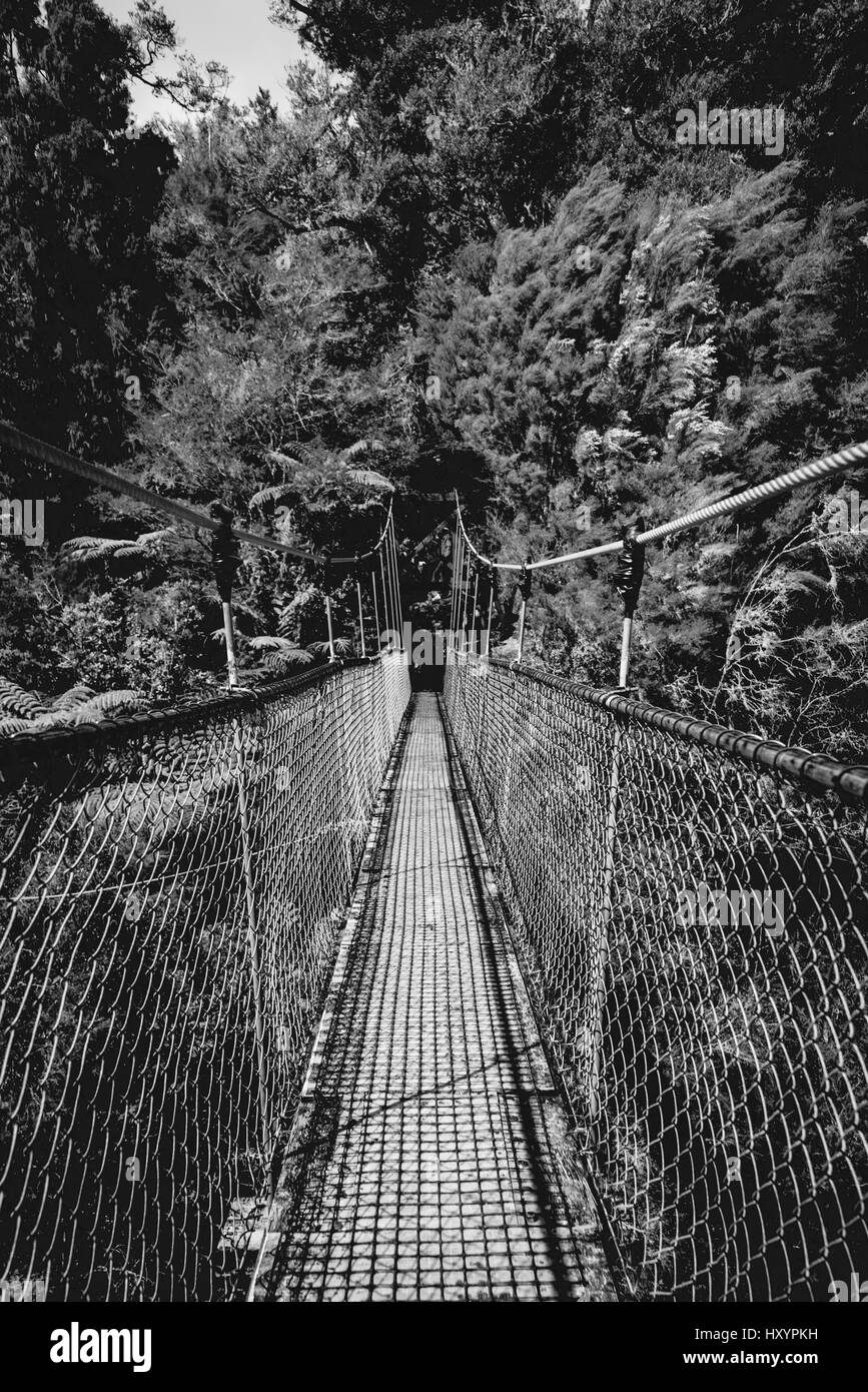 Pied de Suspension Bridge, Abel Tasman, Nouvelle-Zélande Banque D'Images