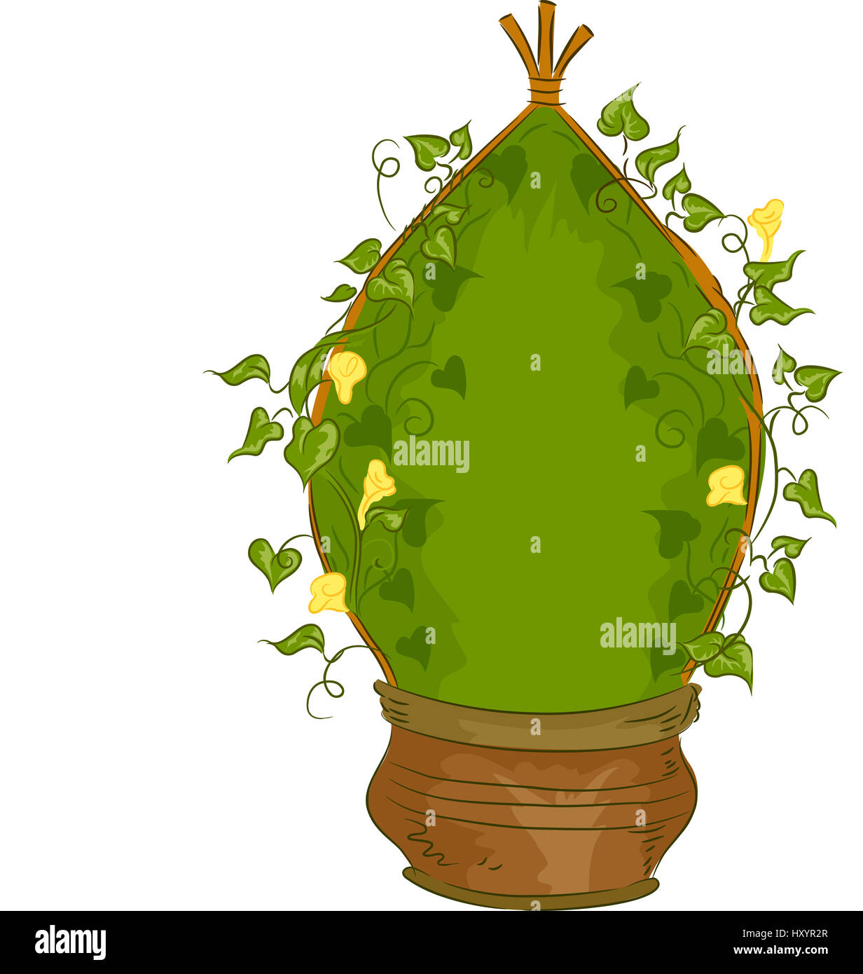 Illustration d'une plante en pot conçu pour croître comme un tipi Vine Banque D'Images