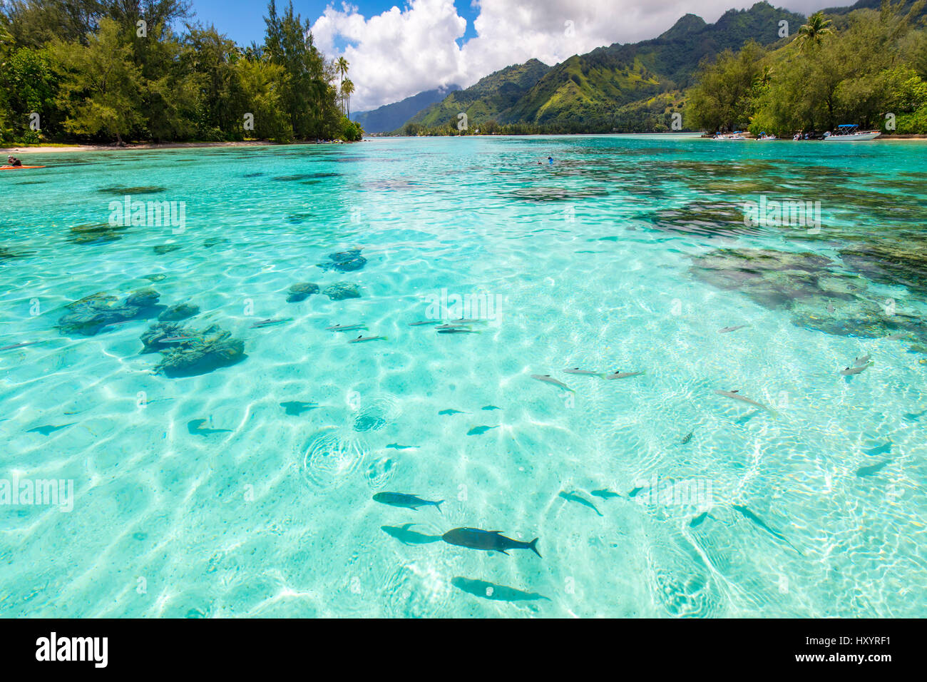 Motu Tiahura & Motu Fareone, Tiahura, Moorea, Polynésie Française Banque D'Images