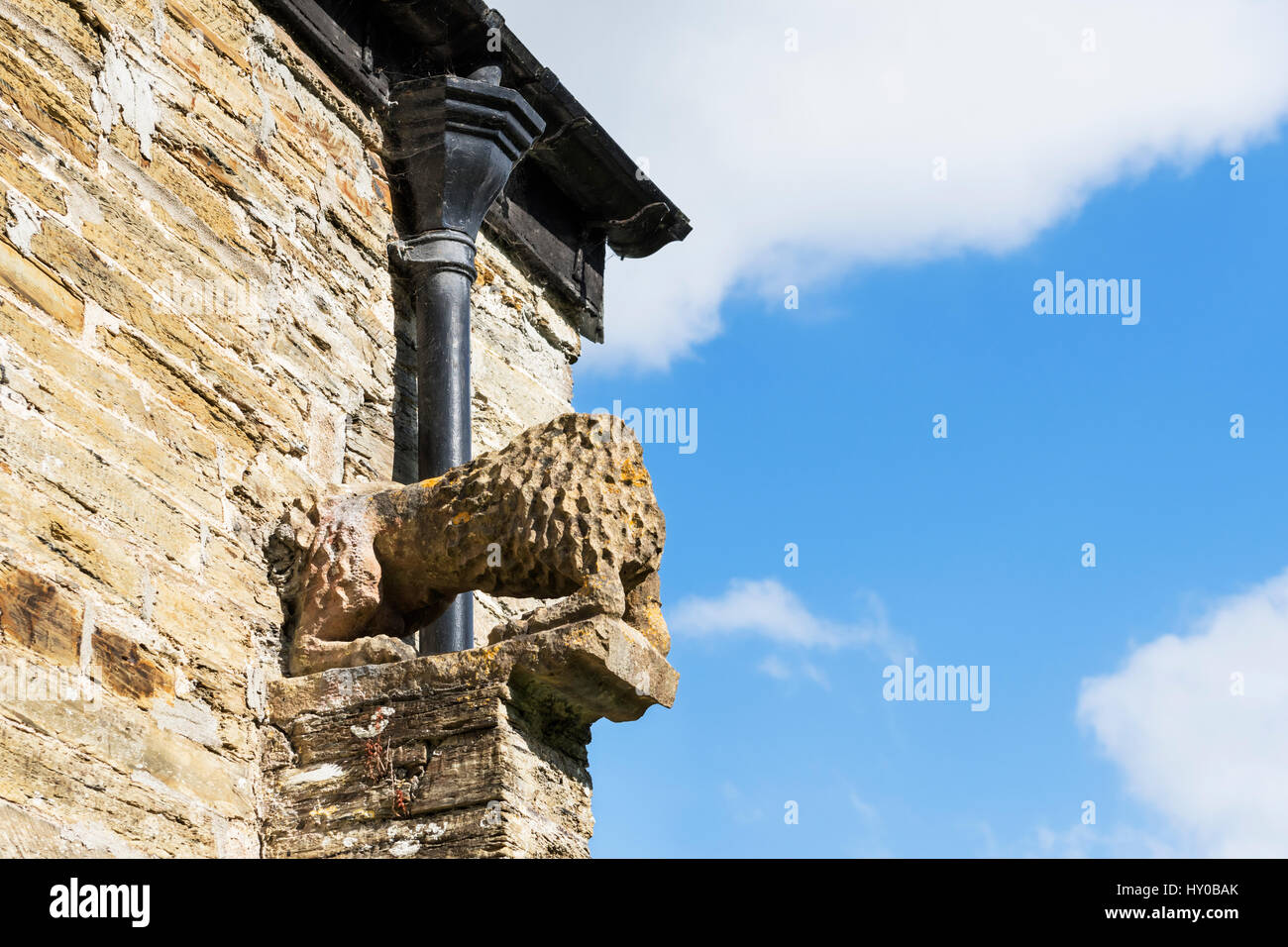 St Petroc's Church, Padstow, Cornwall Banque D'Images