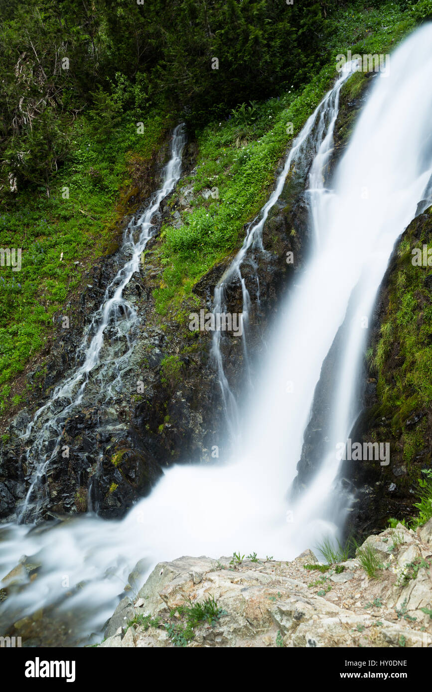 Une cascade et à côté petite cascade chute dans une falaise rocheuse couverte d'herbe dans la forêt nationale de Gifford Pinchot de Washington. Lissé par une longue Banque D'Images