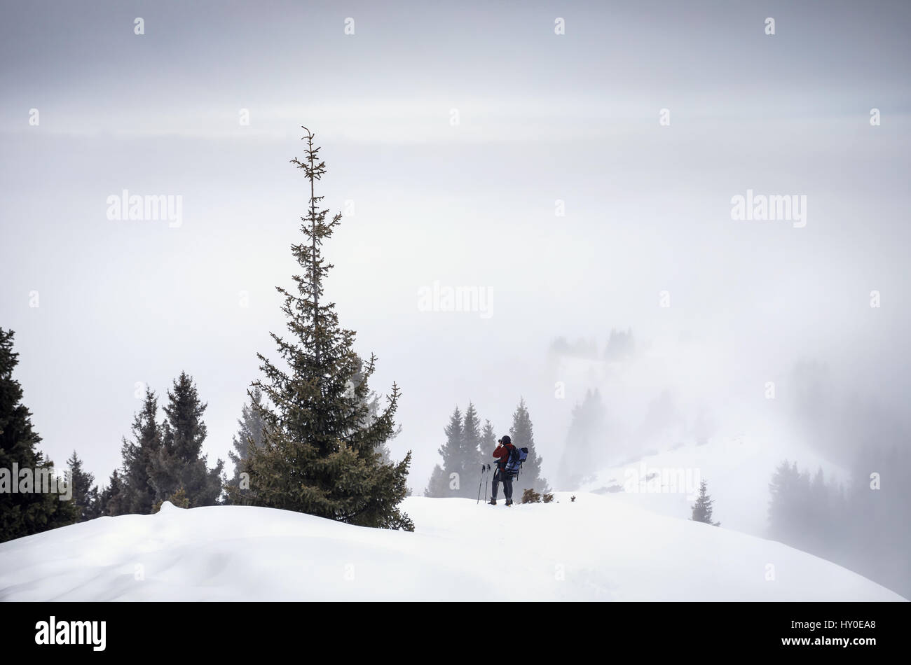Photographe touristique en hiver des paysages de montagne avec arbres à jour brumeux Banque D'Images