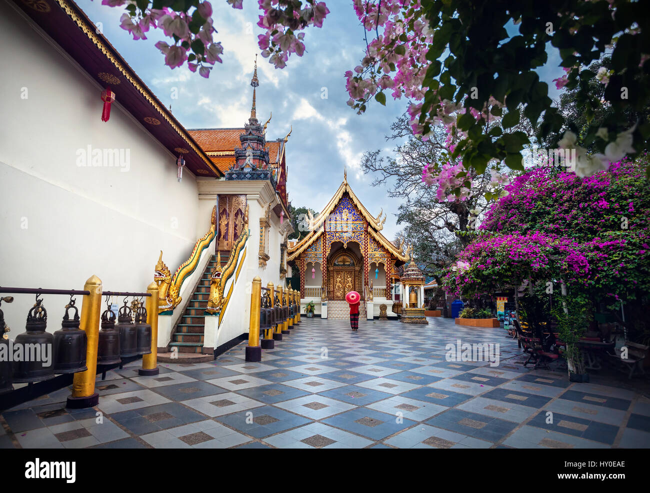 Tourisme Femme avec parapluie traditionnel Thaï rouge près de Pagoda et avec des fleurs roses d'arbres en fleurs à Wat Doi Suthep à Chiang Mai, Thaïlande Banque D'Images