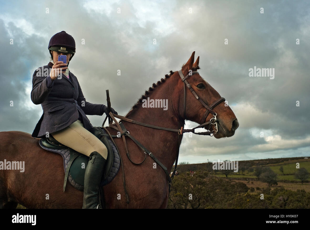 La chasse au renard femme sur le cheval prendre photo avec téléphone mobile Banque D'Images