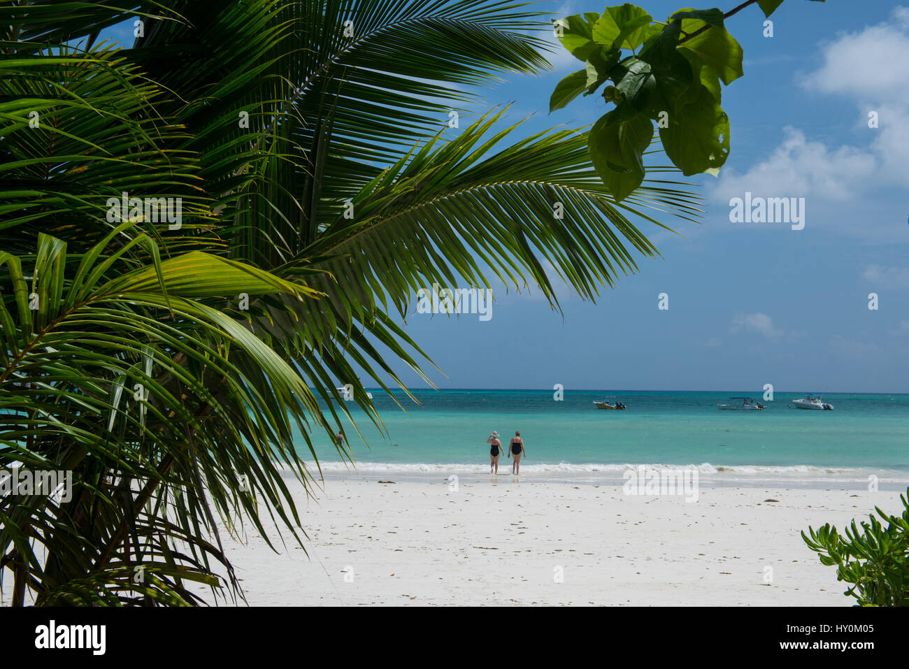 Seychelles, Praslin. Cote D'Or, l'une des plus belles plages de l'île. Banque D'Images