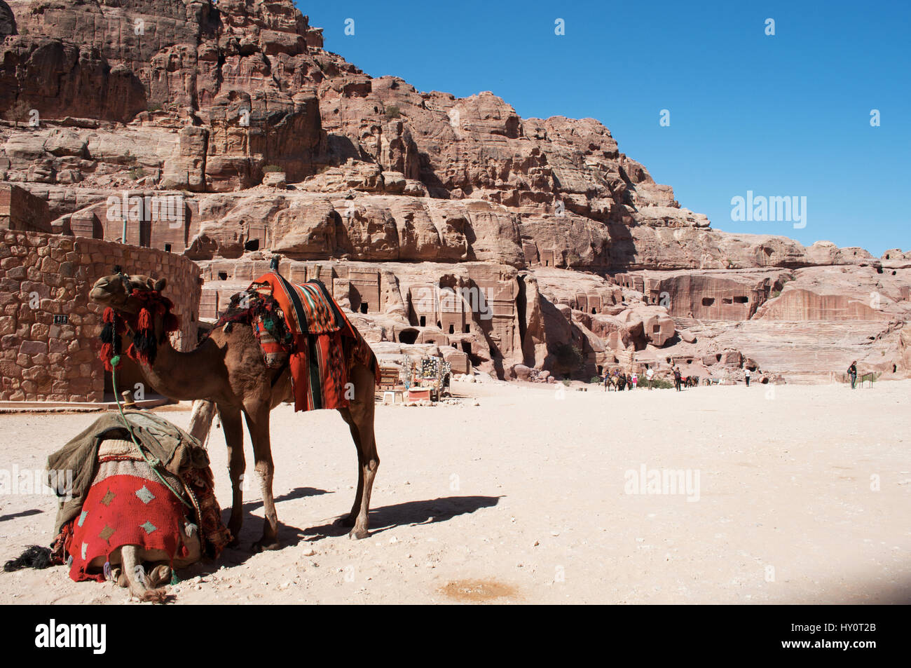 Jordanie : des chameaux en face de la rue des façades, rangée de tombes nabatéennes monumentale taillée dans la ville nabatéenne de Pétra archéologique Banque D'Images