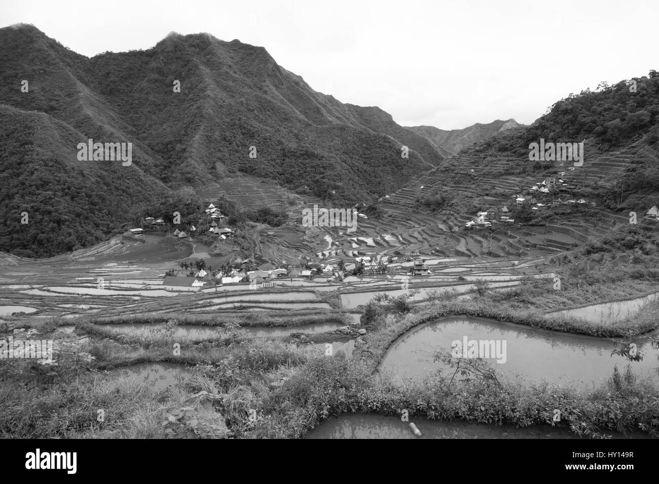 Flou en terrasse aux Philippines pour coultivation champ de riz de Banaue site de l'UNESCO Banque D'Images