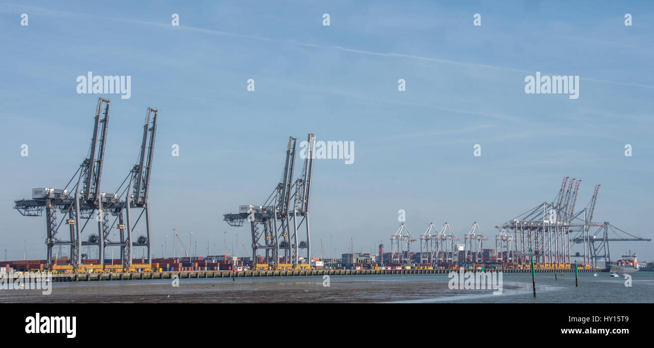 Cranes à Southampton docks, Hampshire, Royaume-Uni Banque D'Images