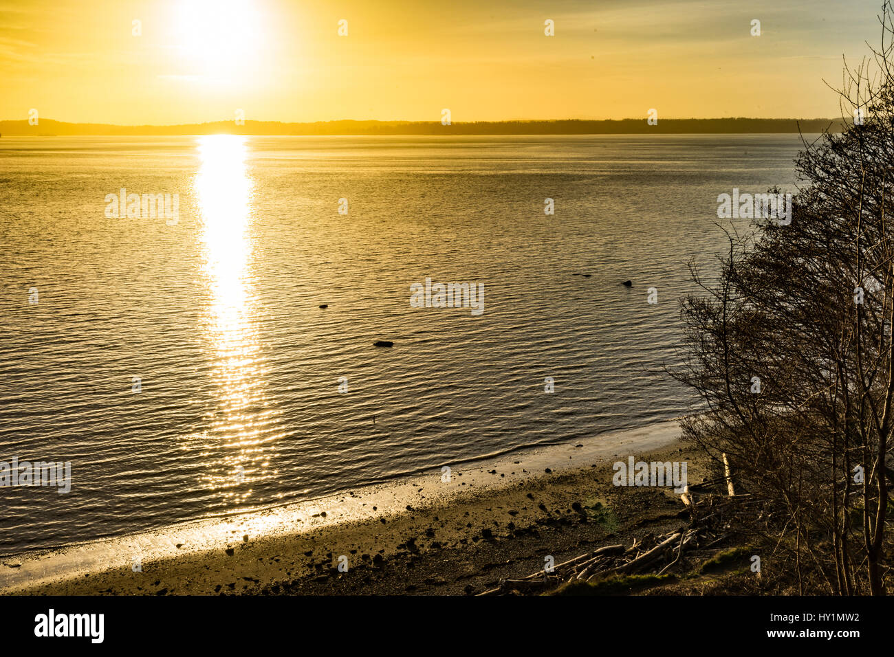 Un coucher de soleil capturé dans la région de Discovery Park à Seattle au cours d'une promenade de chien Décembre. Banque D'Images