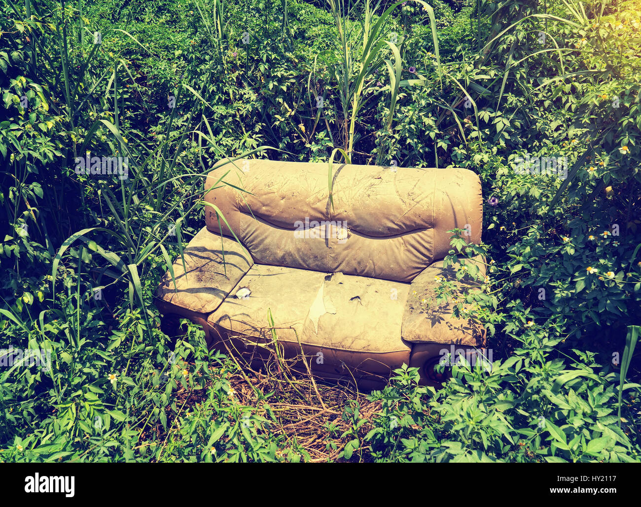 Canapé abandonné dans l'herbe Banque D'Images