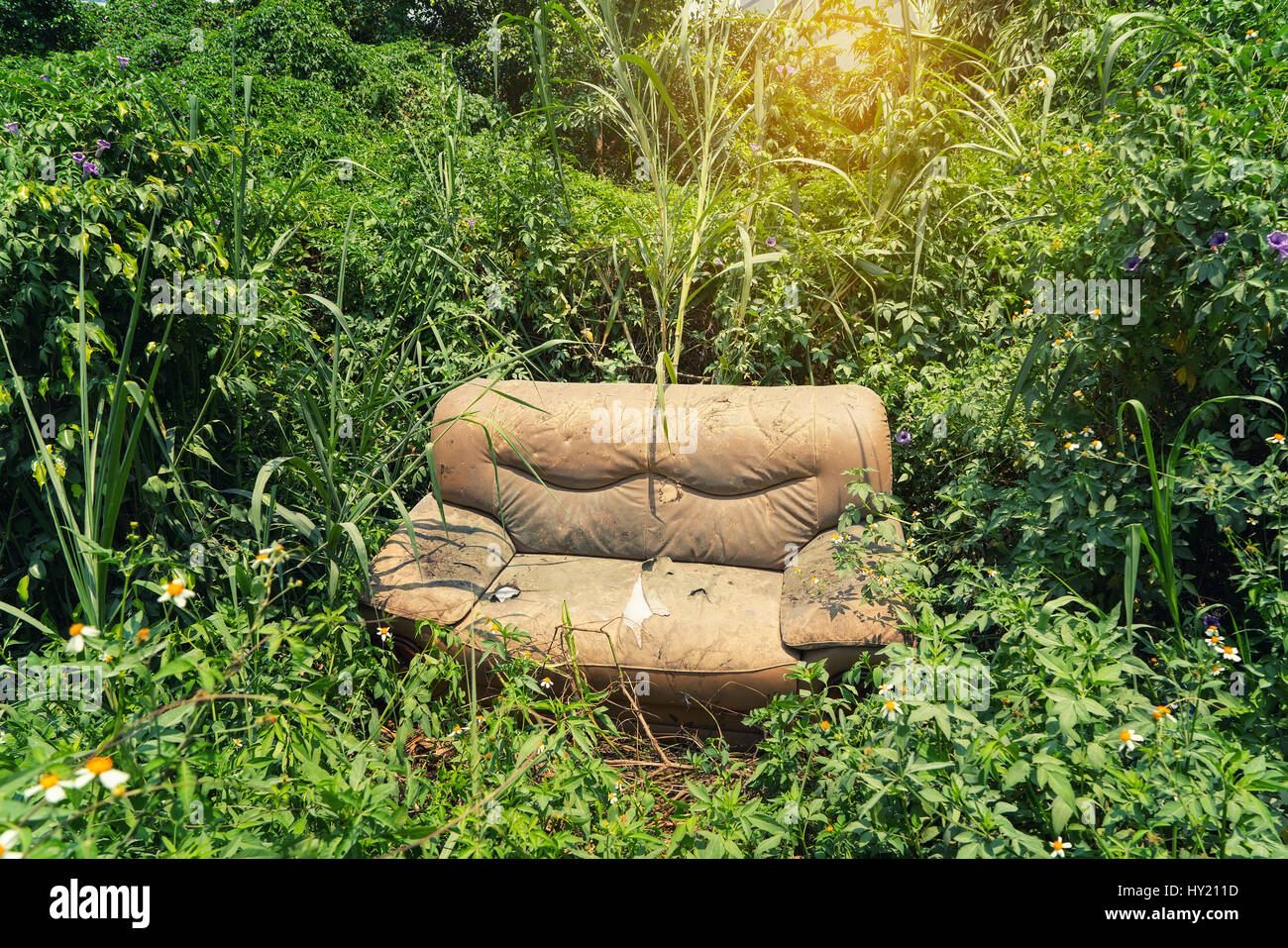Canapé abandonné dans l'herbe Banque D'Images