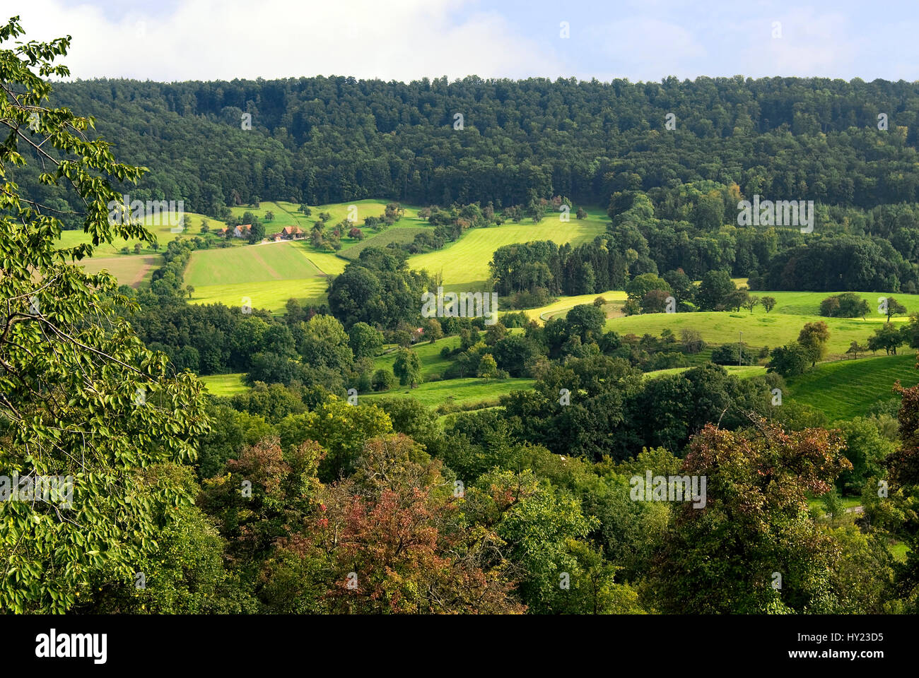 Blick Ã¼ber die im Waldenburger Berglandschaft Fréchette 2004-2005 nkisch¤nkischen-Fréchette Wald à Baden dans SÃ¼ddeutschland, WÃ¼rtemberg. Vue sur la Waldenburger M Banque D'Images