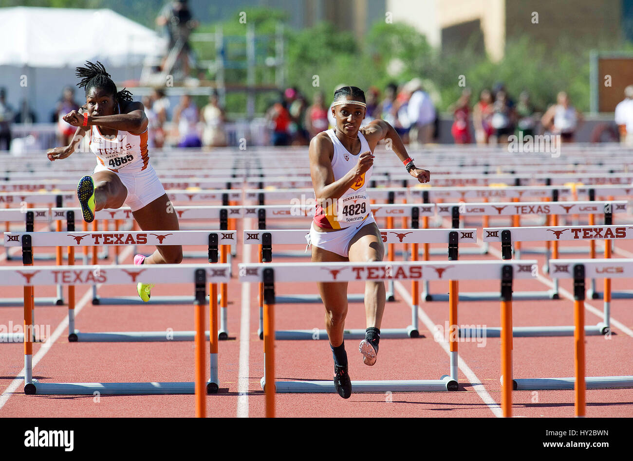 31 mars 2017 : Dior Hall # 4829 Femmes USC 100 m haies lors de la 90e marche de la Clyde Littlefield Texas les relais à Mike A. Myers Stadium. Austin, Texas. Mario Cantu/CSM Banque D'Images