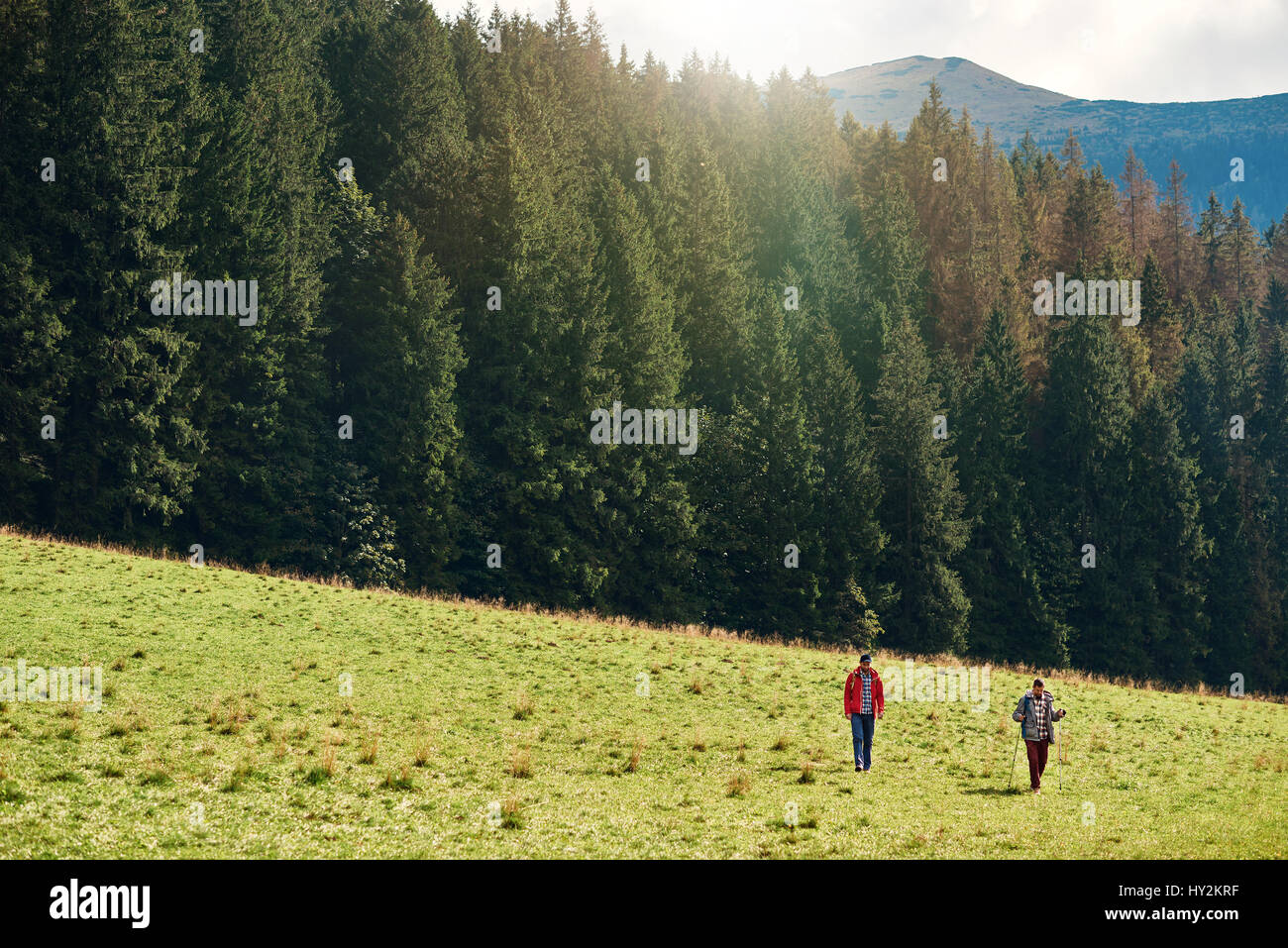 Les randonneurs à pied dans un champ près de la forêt Banque D'Images