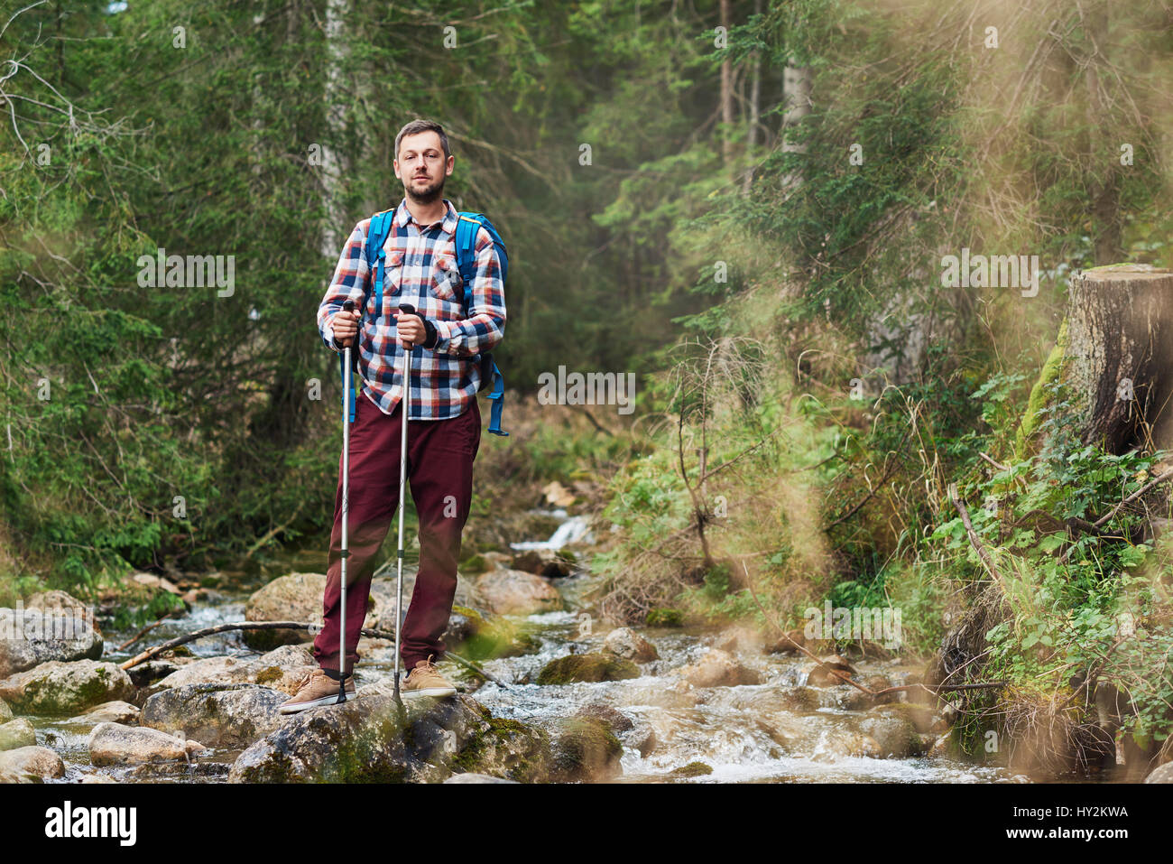 Jeune homme randonnée solitaire dans une forêt Banque D'Images