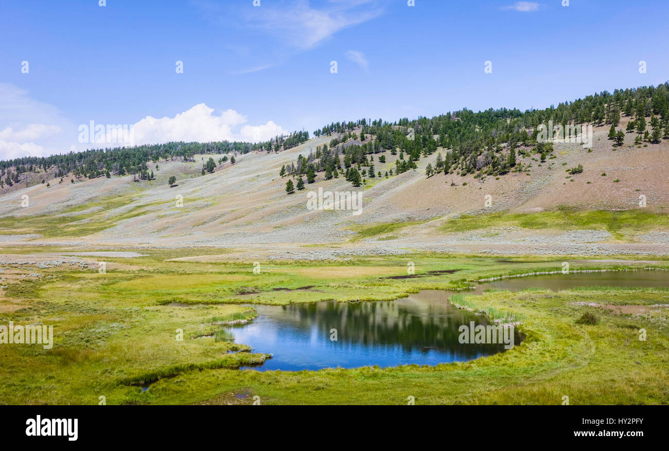 Étang d'eau douce entourée de prairies et flanquée de contreforts des Rocheuses sur une paisible journée d'été près de Cooke City, Montana, USA. Banque D'Images
