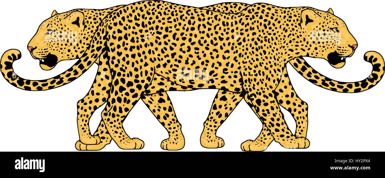 Leopard tattoo face ,Vector illustration, d'impression Illustration de Vecteur