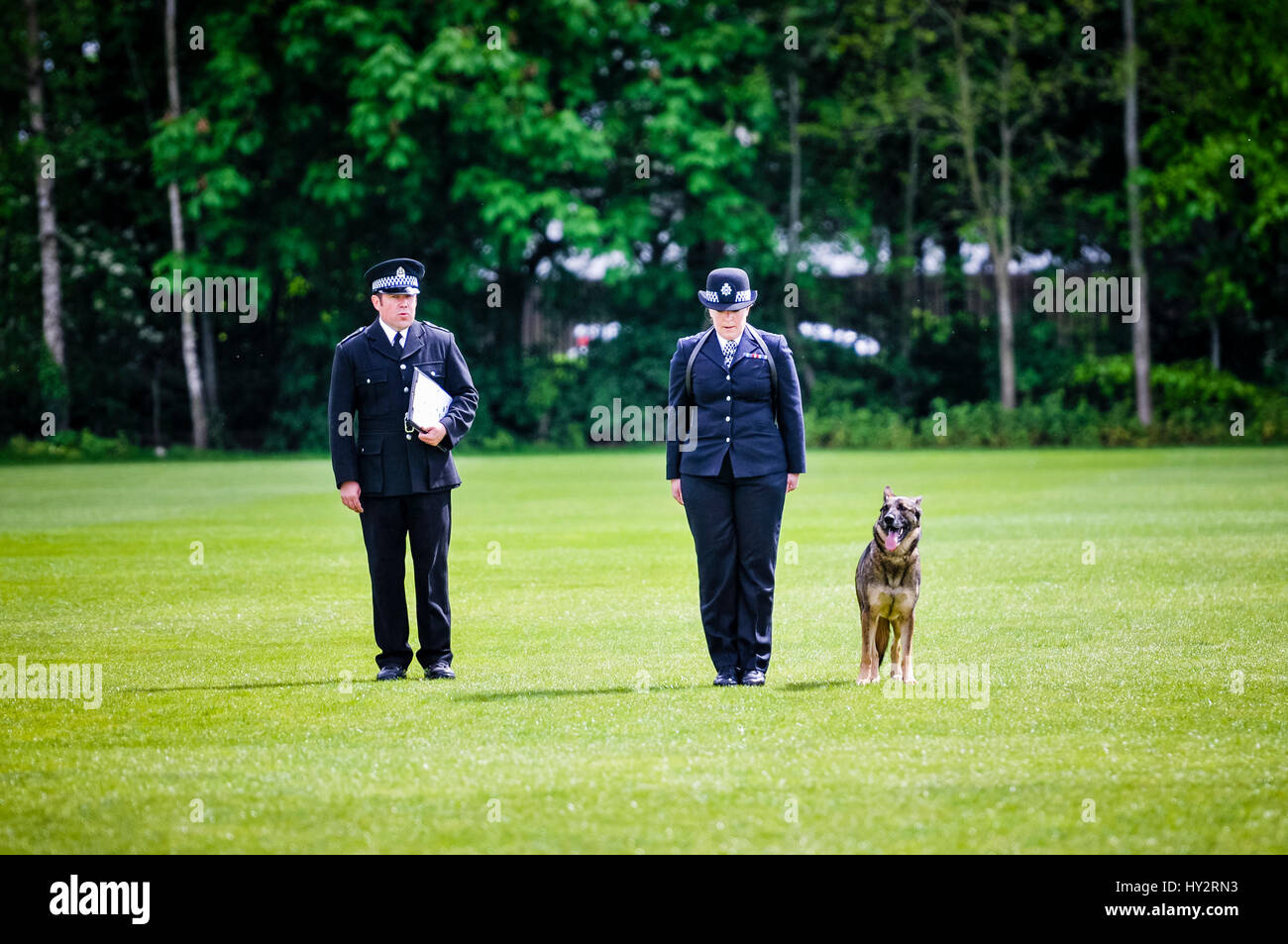 BELFAST, IRLANDE DU NORD. 22 MAI 2016 - Le juge examine la concurrence sur le PD de l'Metpol Annie Thames Metropolitan Police, avec son agent gestionnaire Louise Bell, effectuer des tests d'obéissance à la 56e UK National Police Dog essais qui a eu lieu ce week-end à Belfast. Banque D'Images