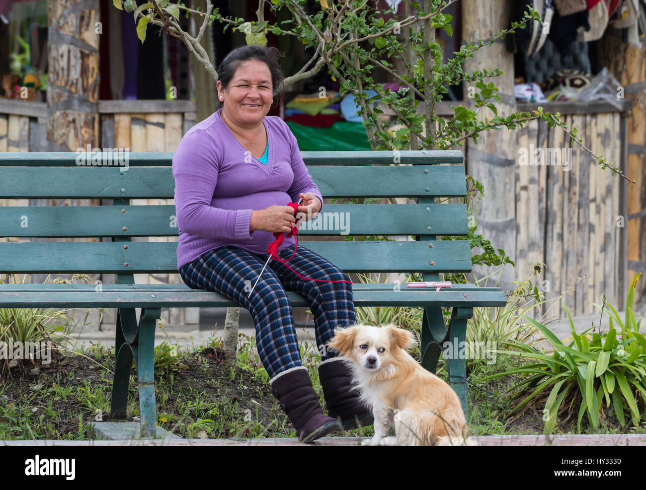 Une vieille dame le tricot sur une chaise avec son chien dans un parc local. Le Pérou. Banque D'Images