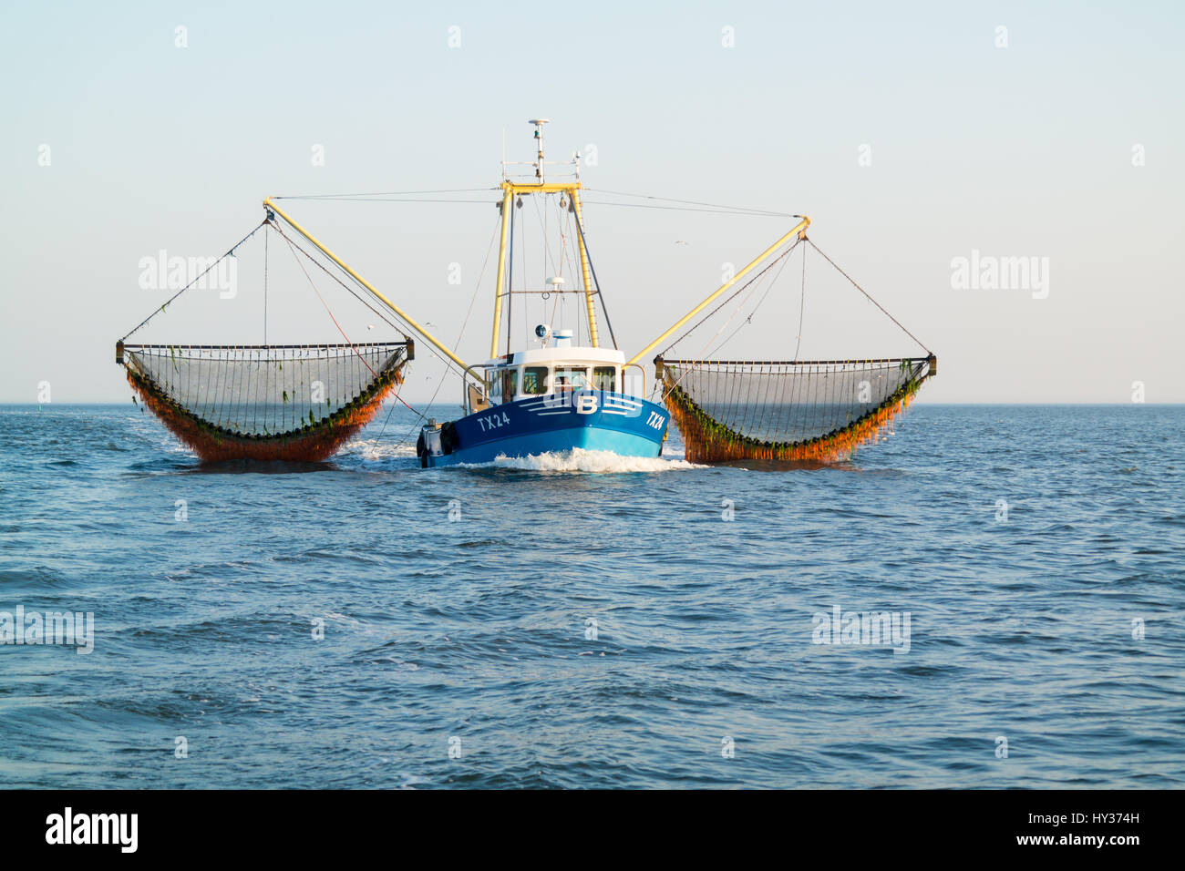Chalutier de pêche commerciale de la crevette outrigger sur Wadden, Pays-Bas Banque D'Images