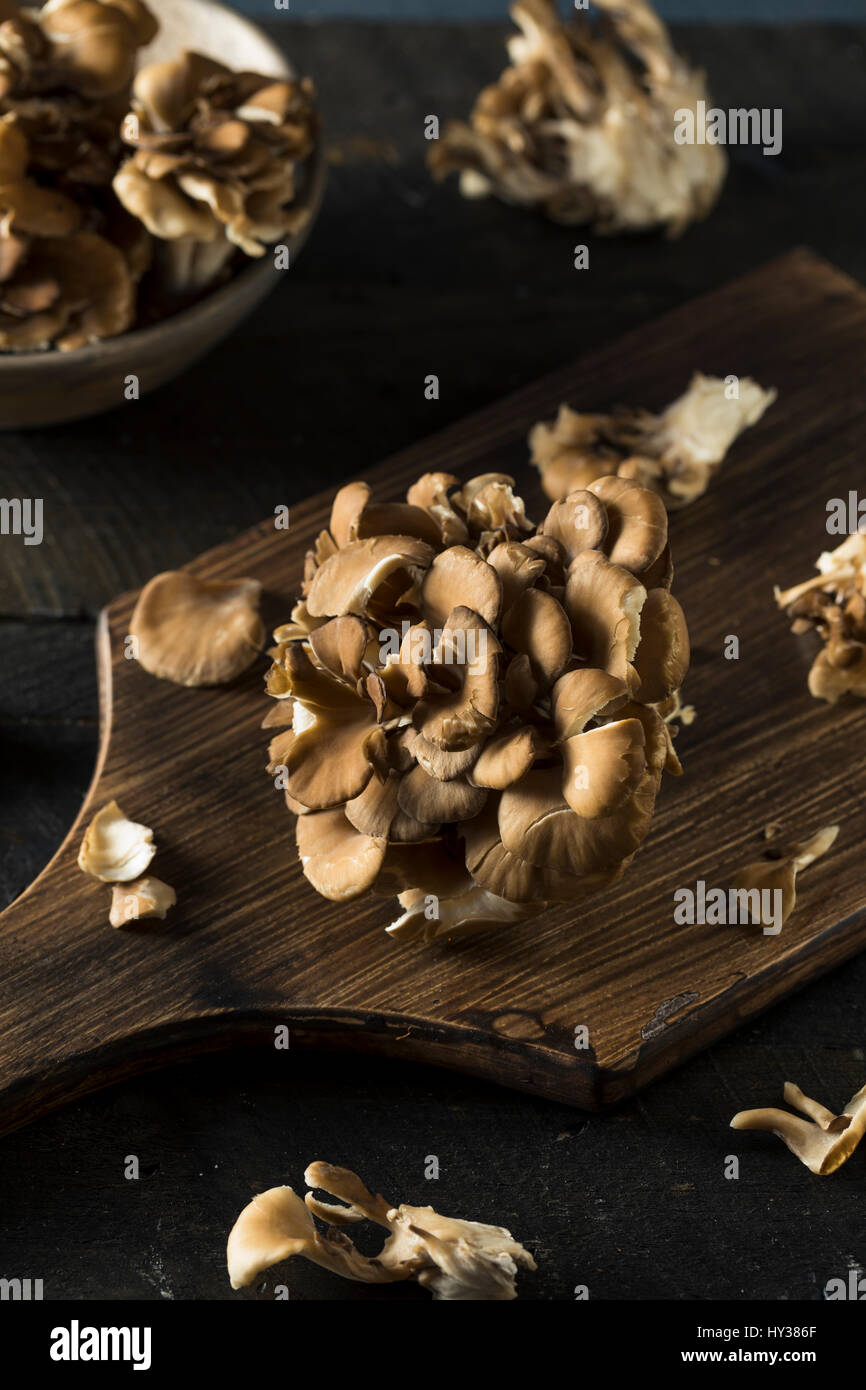 Les champignons Maitake biologiques crus dans un groupe Banque D'Images