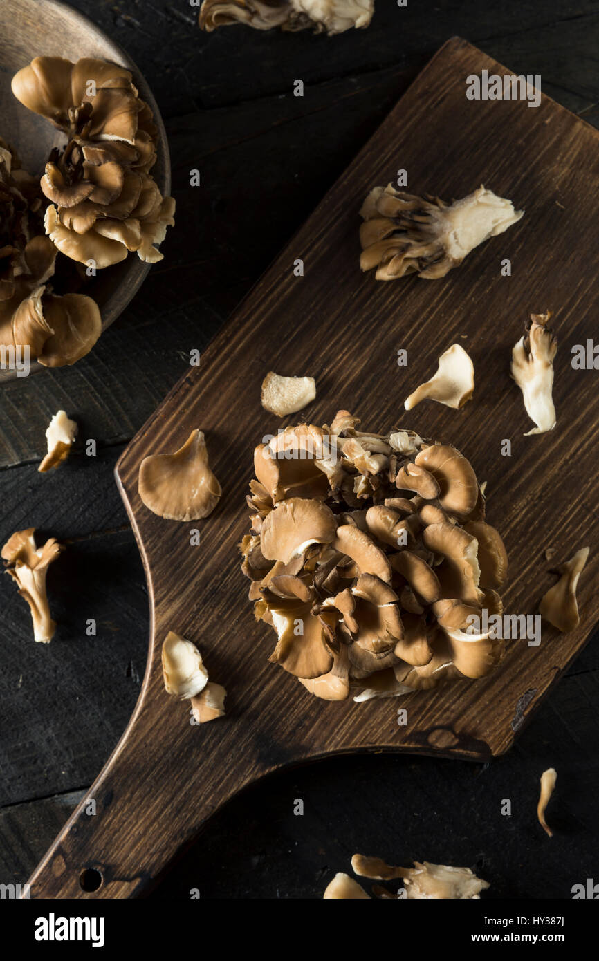 Les champignons Maitake biologiques crus dans un groupe Banque D'Images