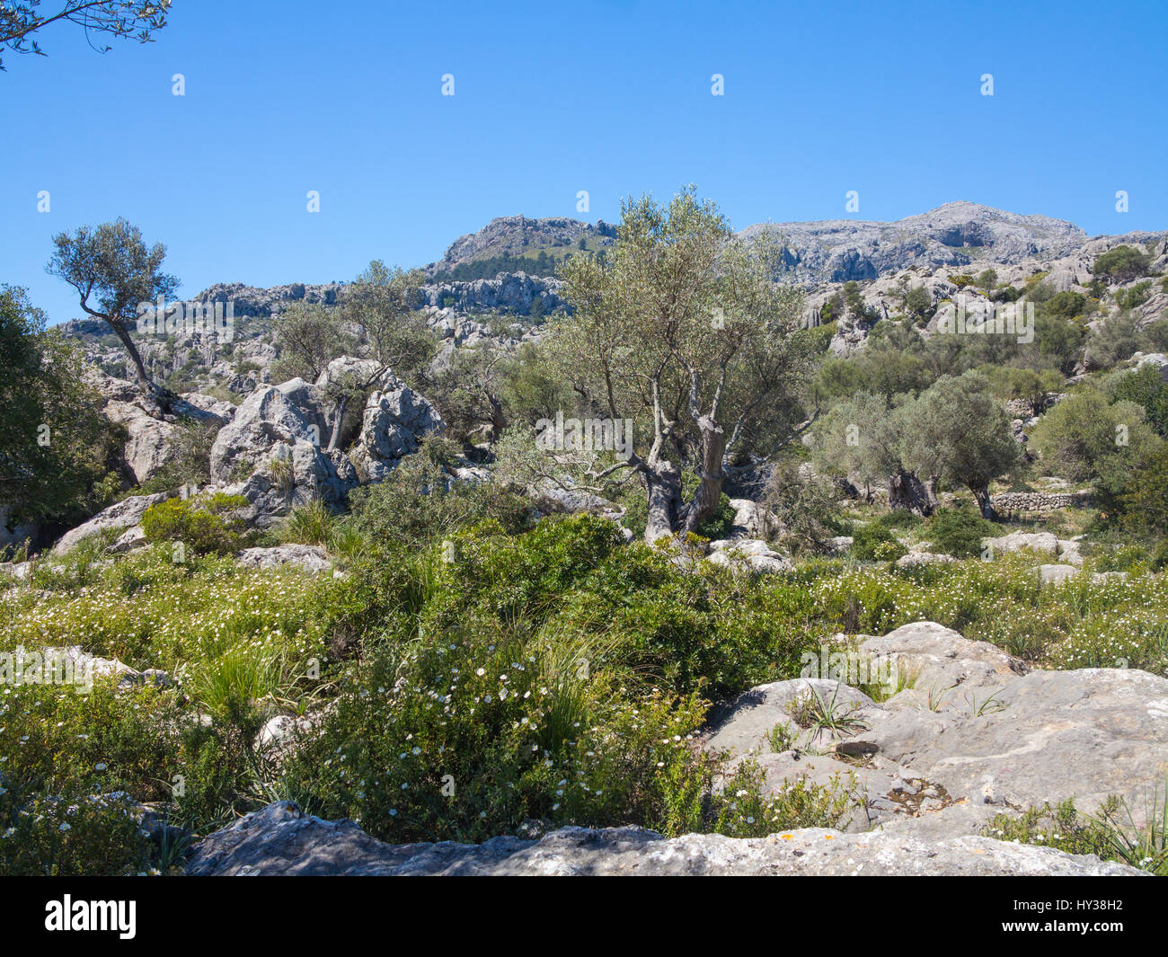 Paysage rocheux à Mortitx sur la côte nord-est de la Serra de Tramuntana de Majorque Banque D'Images