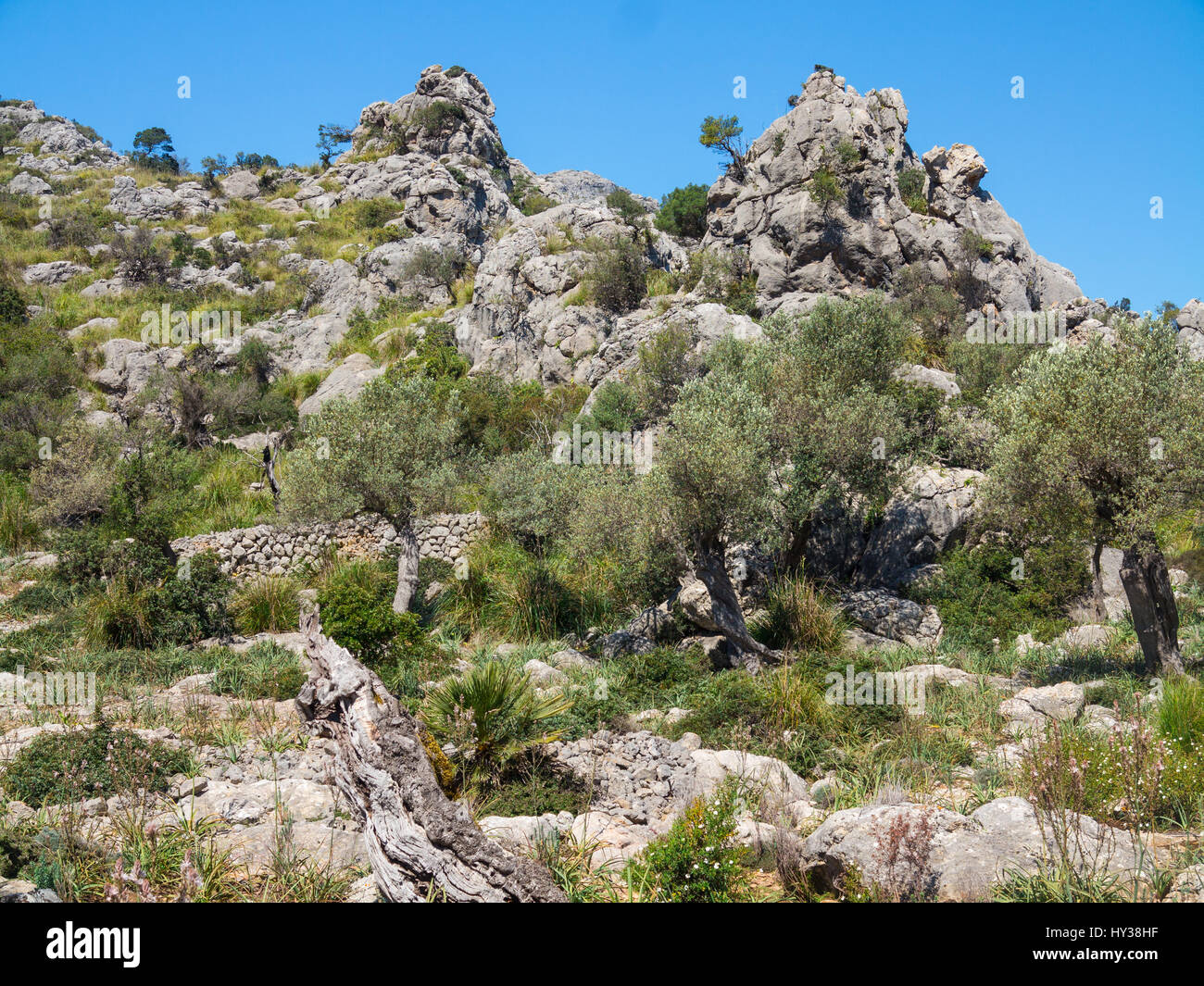 Paysage rocheux à Mortitx sur la côte nord-est de la Serra de Tramuntana de Majorque Banque D'Images