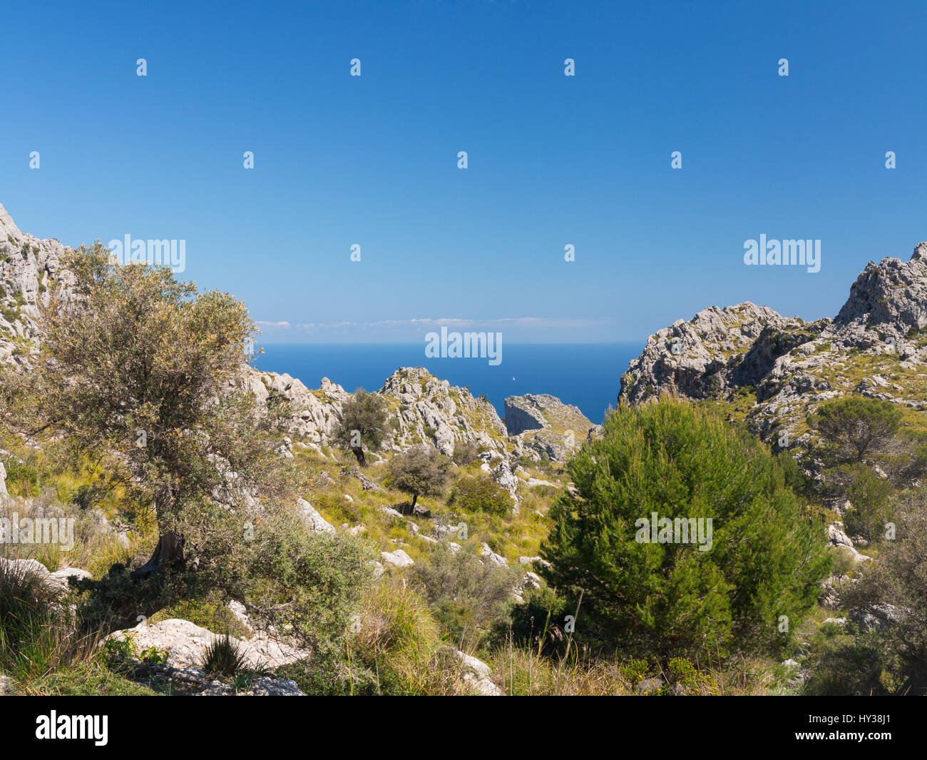 Vue sur la mer Méditerranée à partir de Mortitx sur la côte nord-est de la Serra de Tramuntana de Majorque Banque D'Images