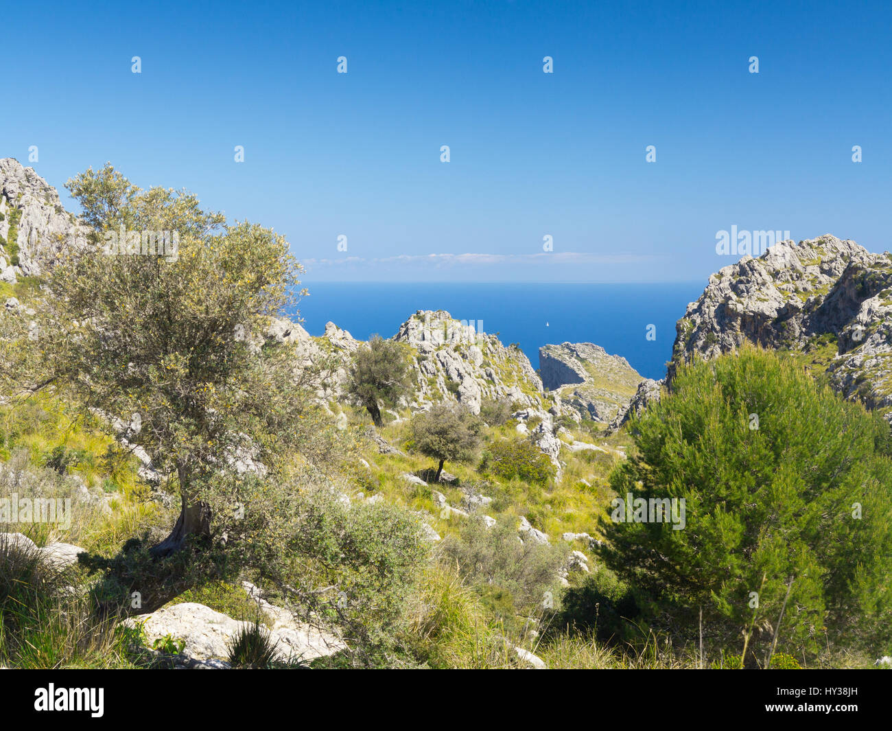 Vue sur la mer Méditerranée à partir de Mortitx sur la côte nord-est de la Serra de Tramuntana de Majorque Banque D'Images