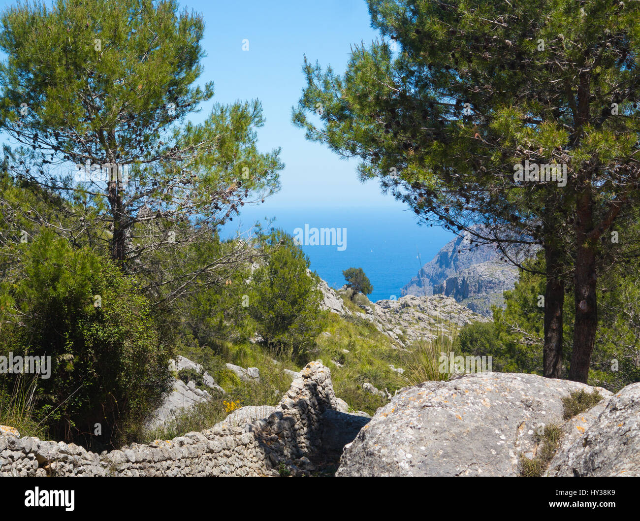 Vue sur la mer Méditerranée à partir de Mortitx sur la côte nord-est de la Serra de Tramuntana de Majorque Banque D'Images