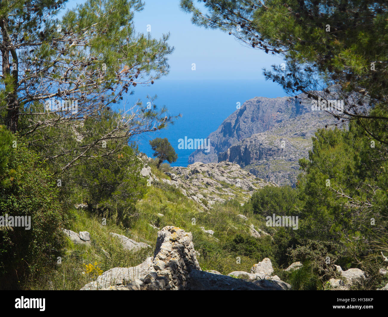Vue sur la mer Méditerranée à partir de Mortitx sur la côte nord-est de la Serra de Tramuntana de Majorque Banque D'Images